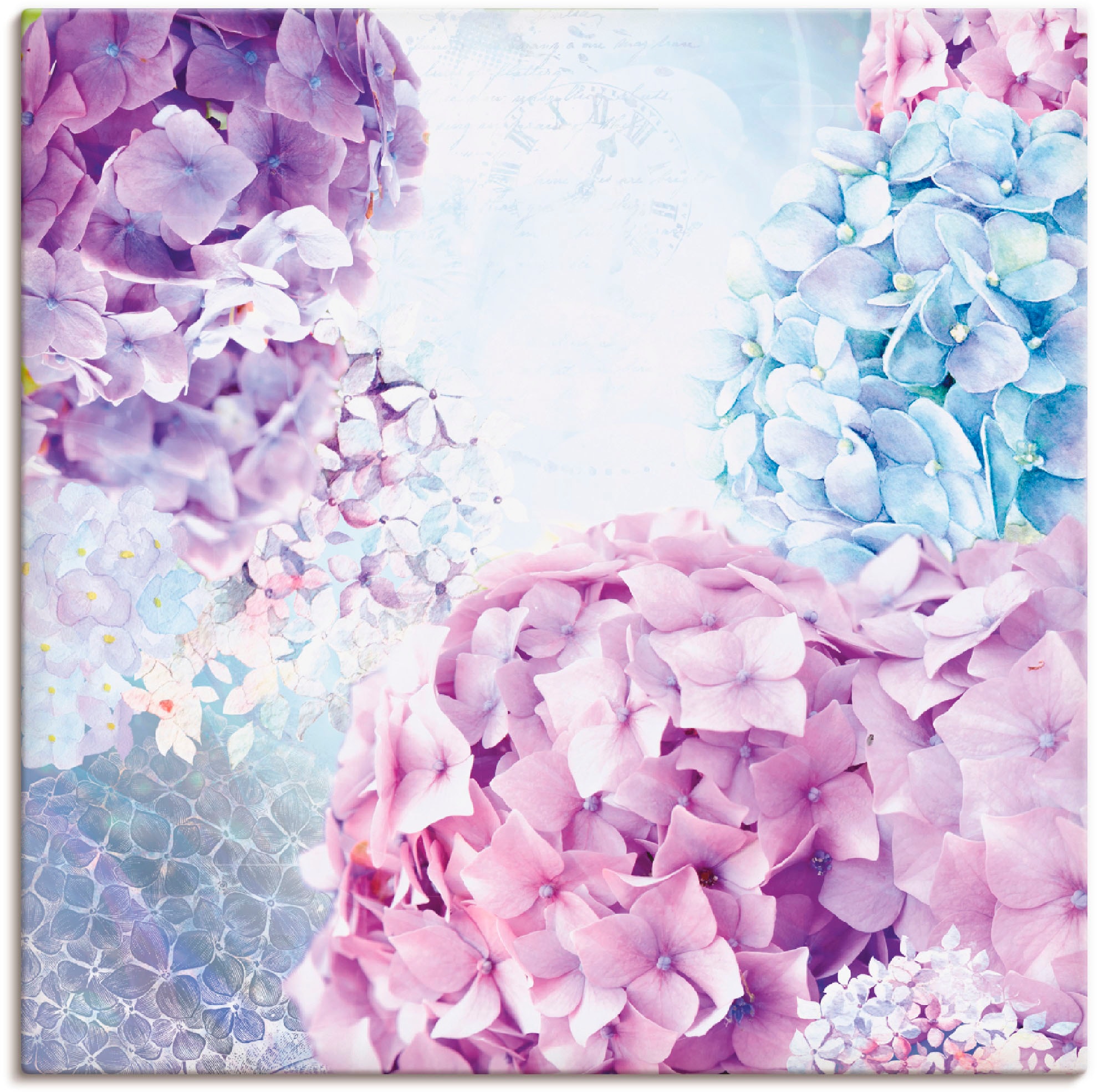 Artland Wandbild "Blau und Pink Hortensie", Blumen, (1 St.), als Leinwandbild, Wandaufkleber in verschied. Größen