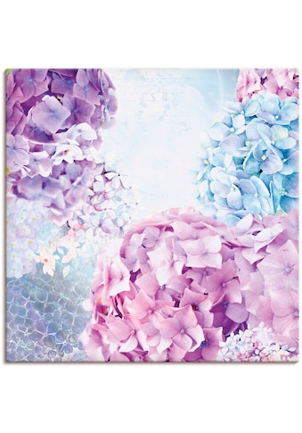 Artland Paveikslas »Blau ir Pink Hortensie« Bl...