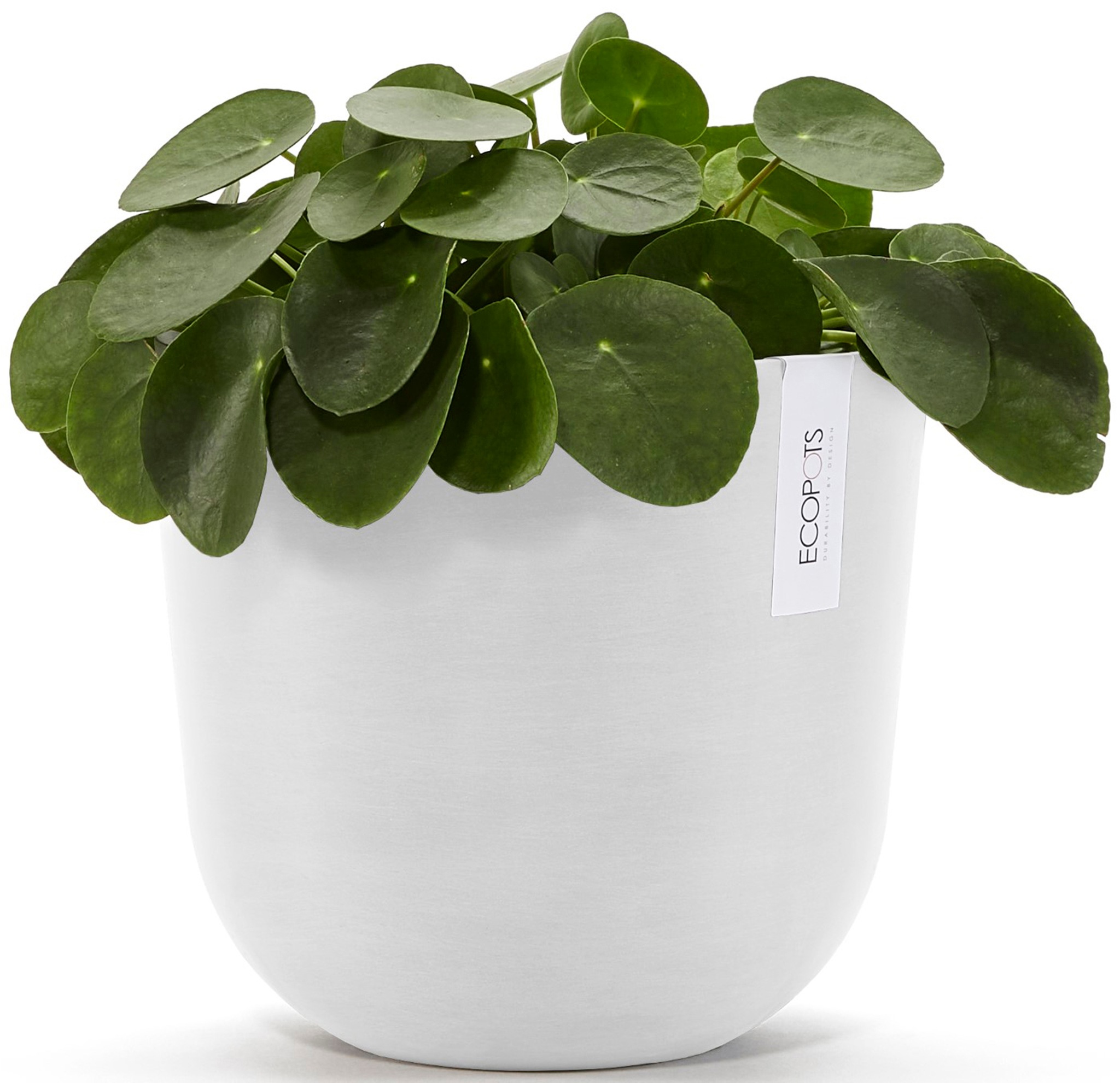 ECOPOTS Blumentopf »Oslo 25 + Wassersystem Weiß«, für innen und außen: frostsicher, bruchsicher und lichtbeständig