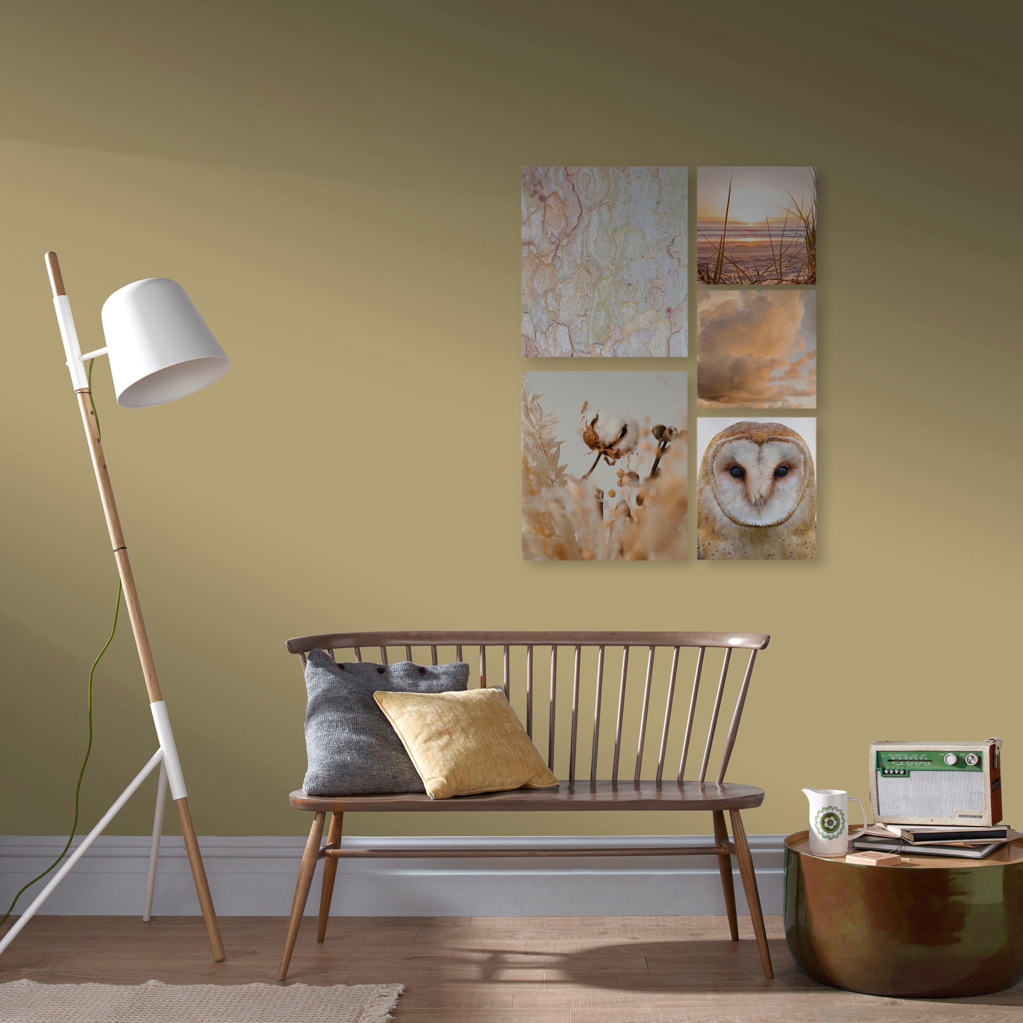 Art for the home Leinwandbild "Set Natur" günstig online kaufen