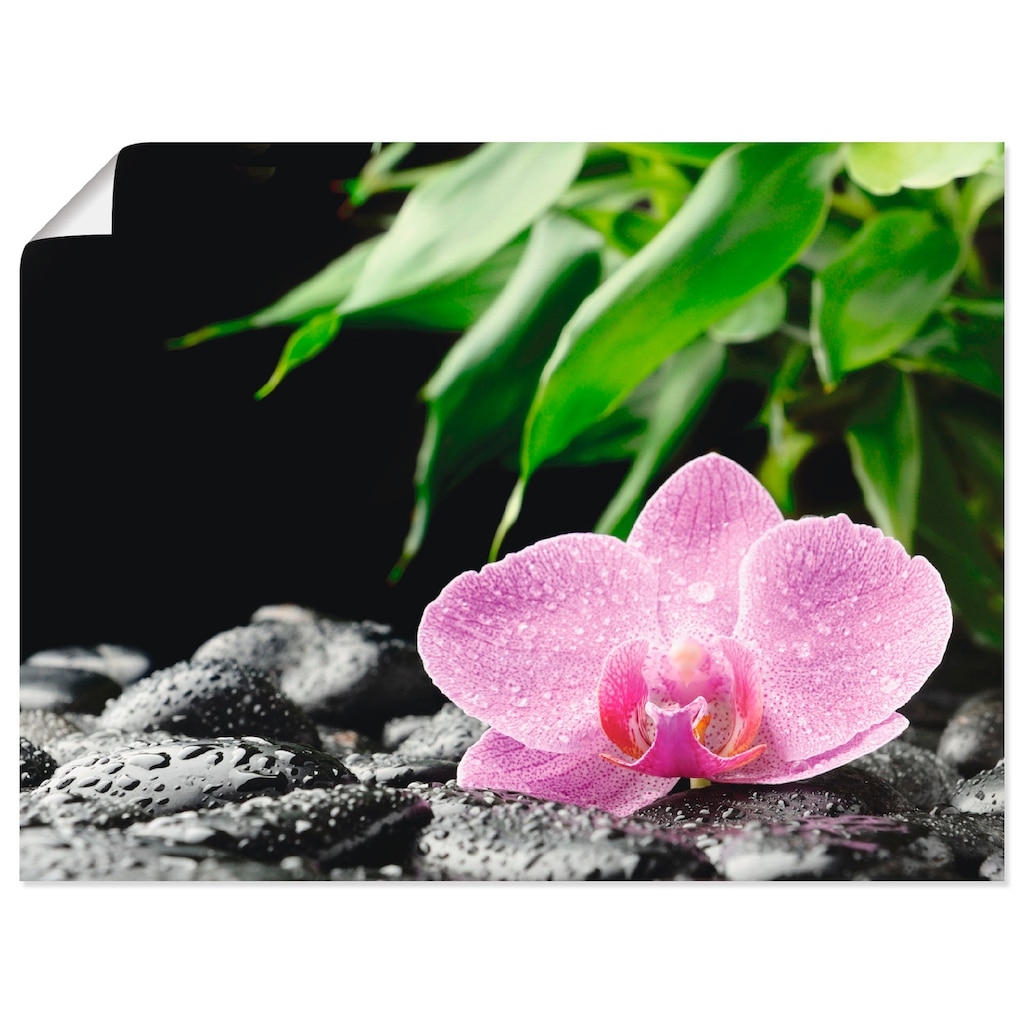 Artland Wandbild »Rosa Orchidee auf schwarzen Zen Steinen«, Blumen, (1 St.)