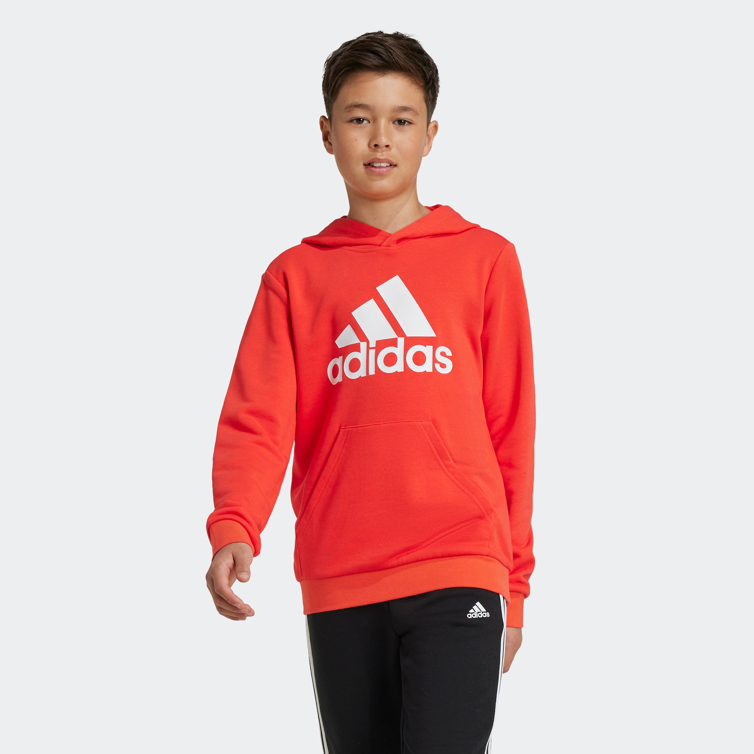 adidas Sportswear Kapuzensweatshirt »BIG LOGO ESSENTIALS COTTON HOODIE«