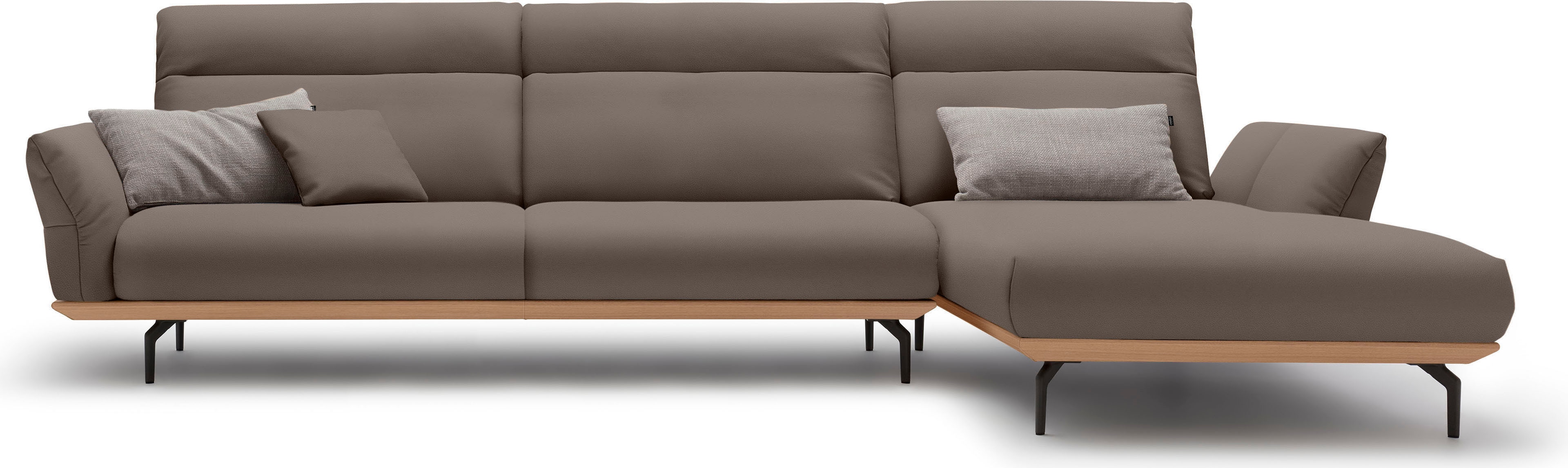 Creation BY ROLF BENZ Ecksofa "CR.460, Design-Sofa der Extraklasse, verstellbare Rückenlehne, L-Form" Sockel in Eiche, Winkelfüße in Umbragrau, Breite 338 cm