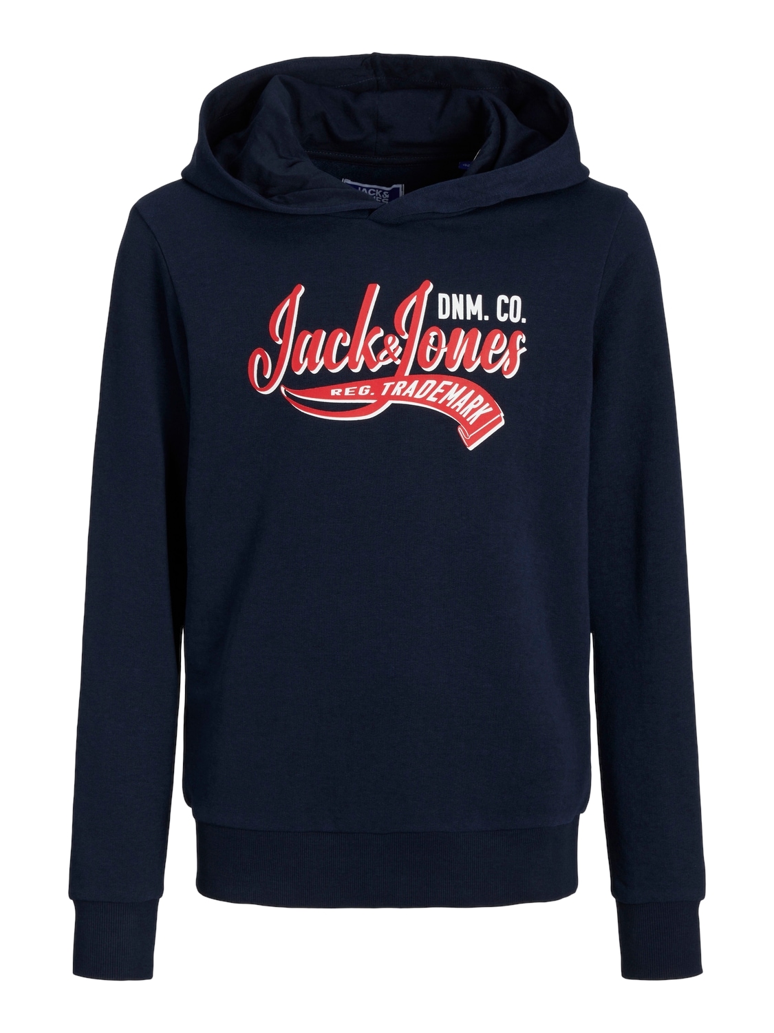 Jack & Jones Junior Hoodie »JJELOGO SWEAT HOOD 2 COL 24 SN JNR«