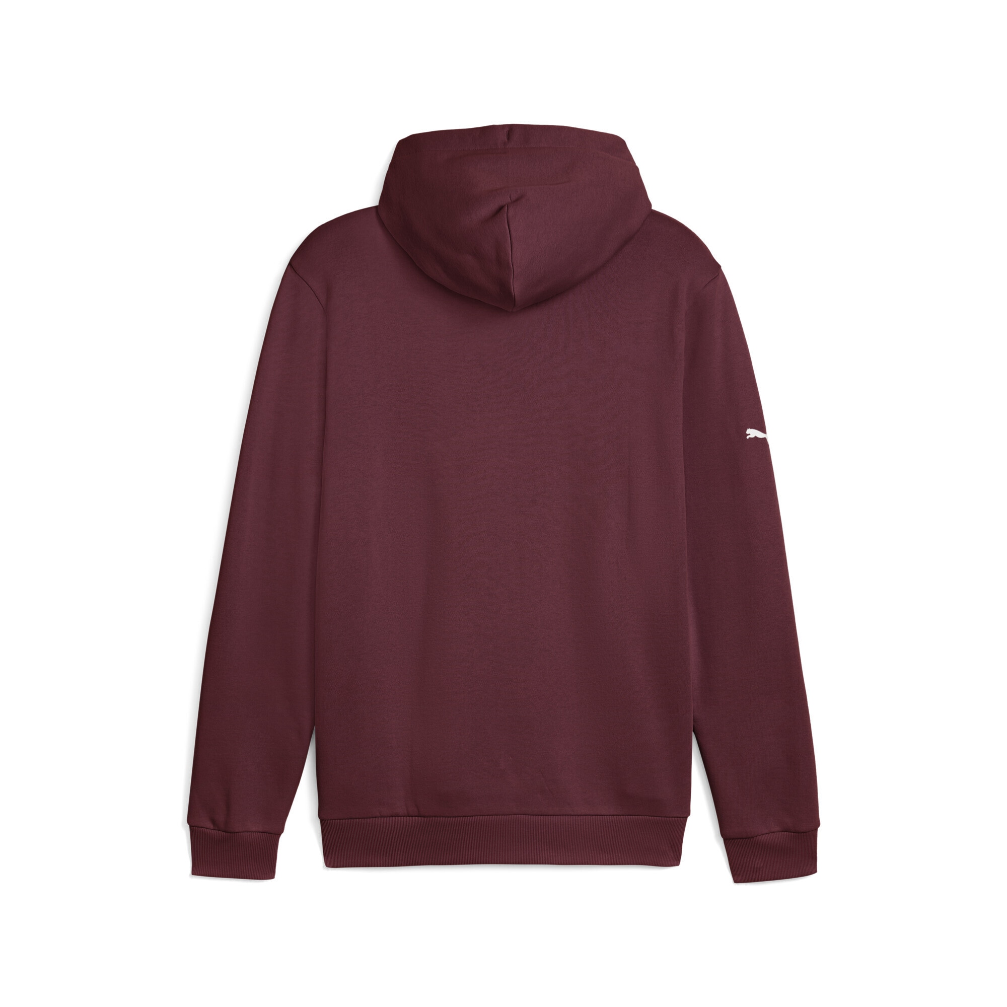 PUMA Hoodie »BMW M Motorsport Fleece Hoodie Herren«