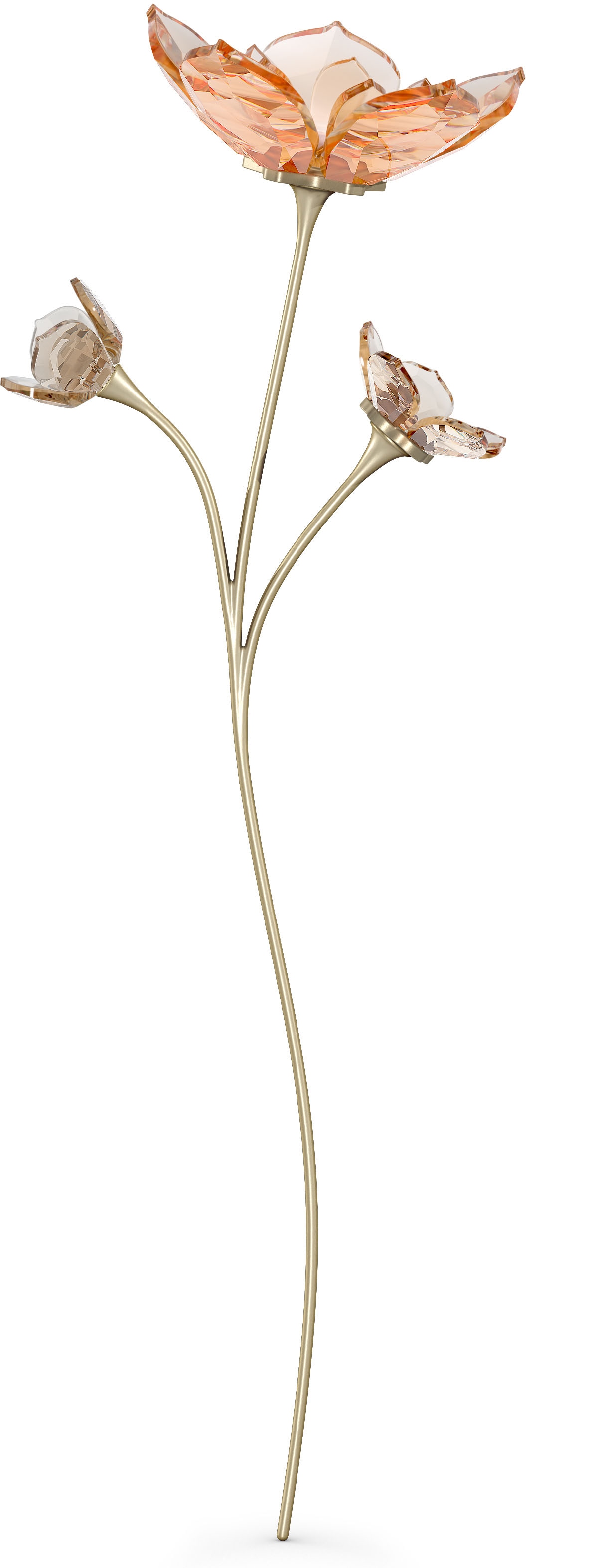 Swarovski Dekoobjekt »Kristallfigur Blume BAUR 5557799«, Tales Swarovski® | Kristall Garden Magnolie