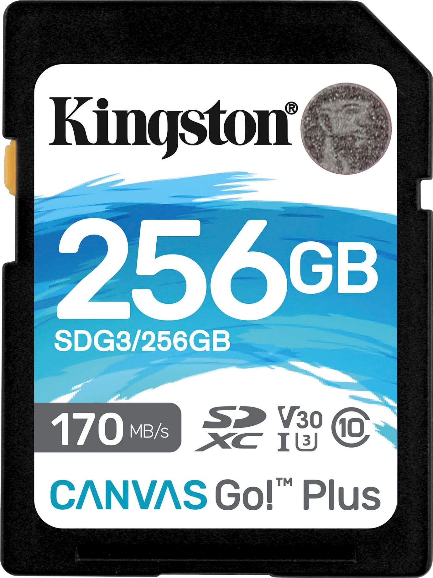 Speicherkarte »Canvas Go Plus microSD 256GB + ADP«, (Video Speed Class 30 (V30)/UHS...