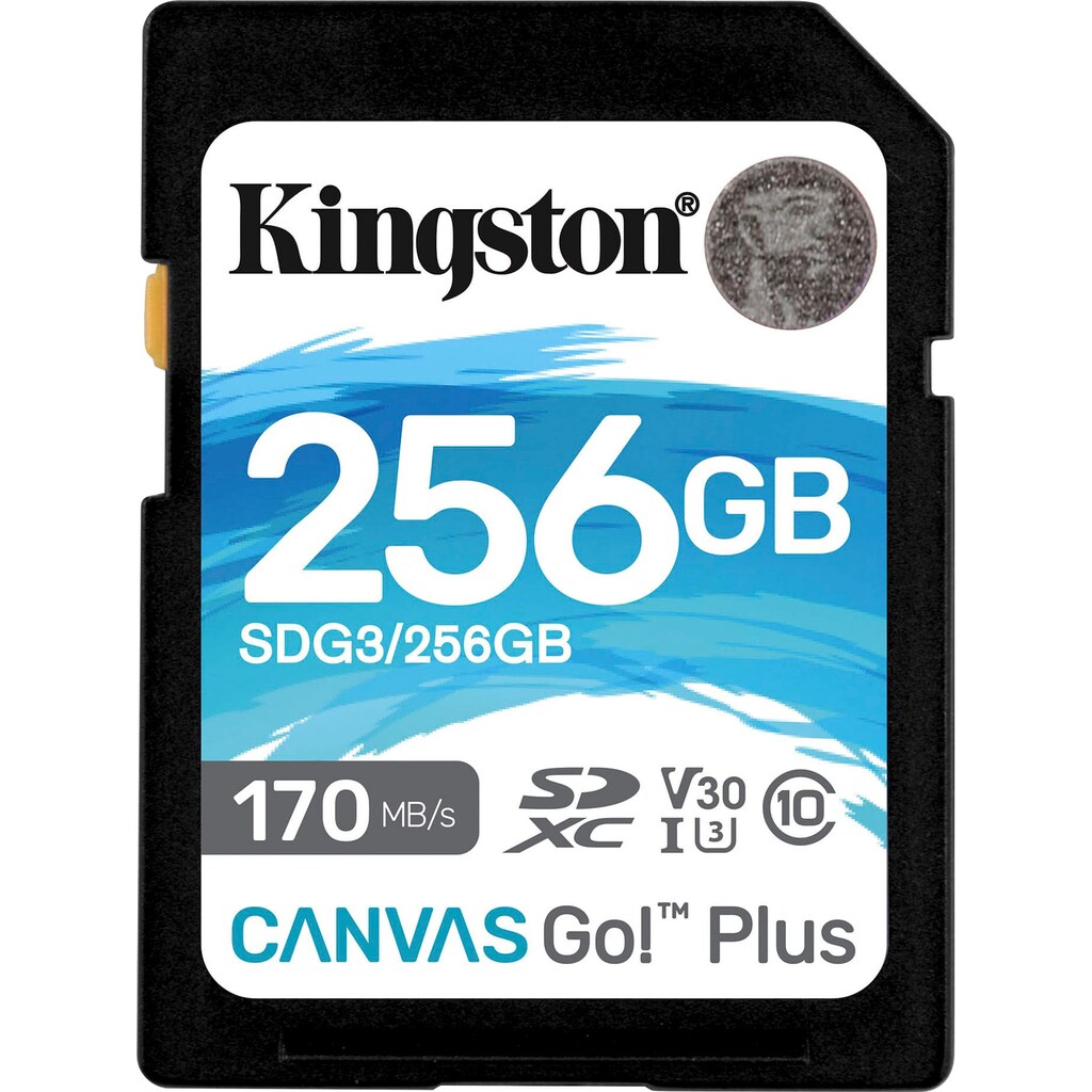 Kingston Speicherkarte »Canvas Go Plus microSD 256GB + ADP«, (Video Speed Class 30 (V30)/UHS Speed Class 3 (U3) 170 MB/s Lesegeschwindigkeit)