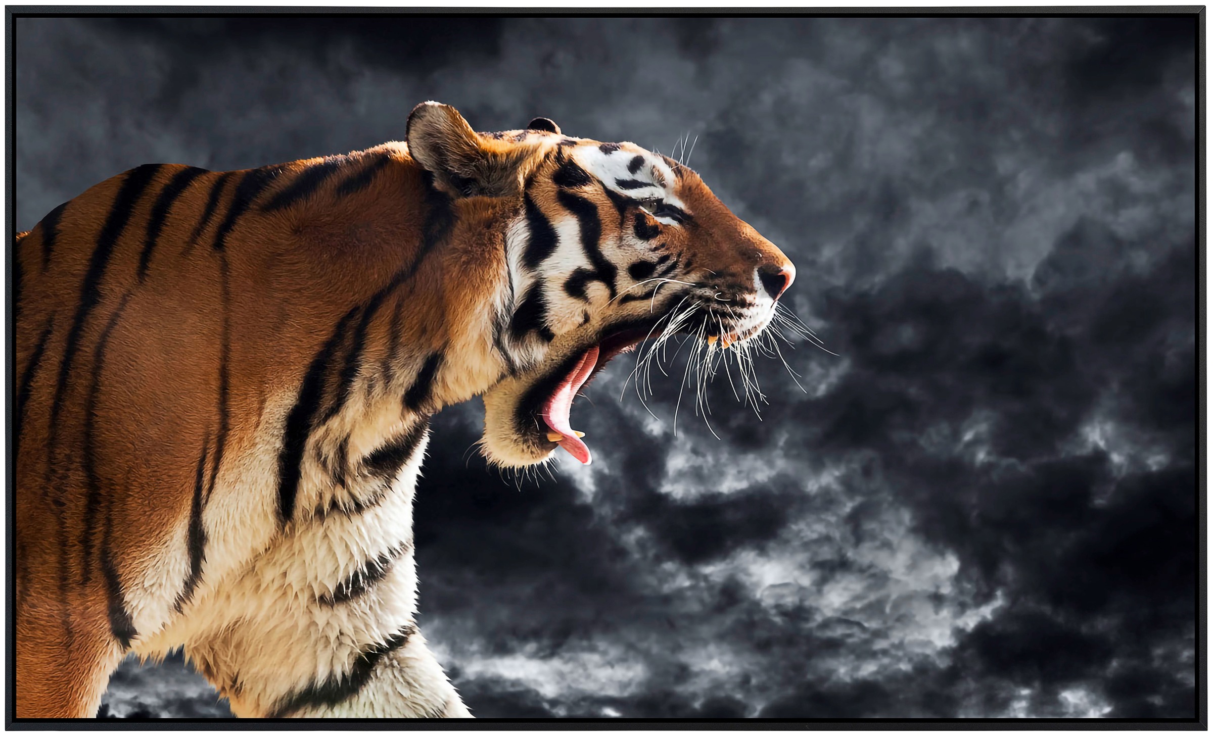 Papermoon Infrarotheizung »Brüllender wilder Tiger«, sehr angenehme Strahlungswärme