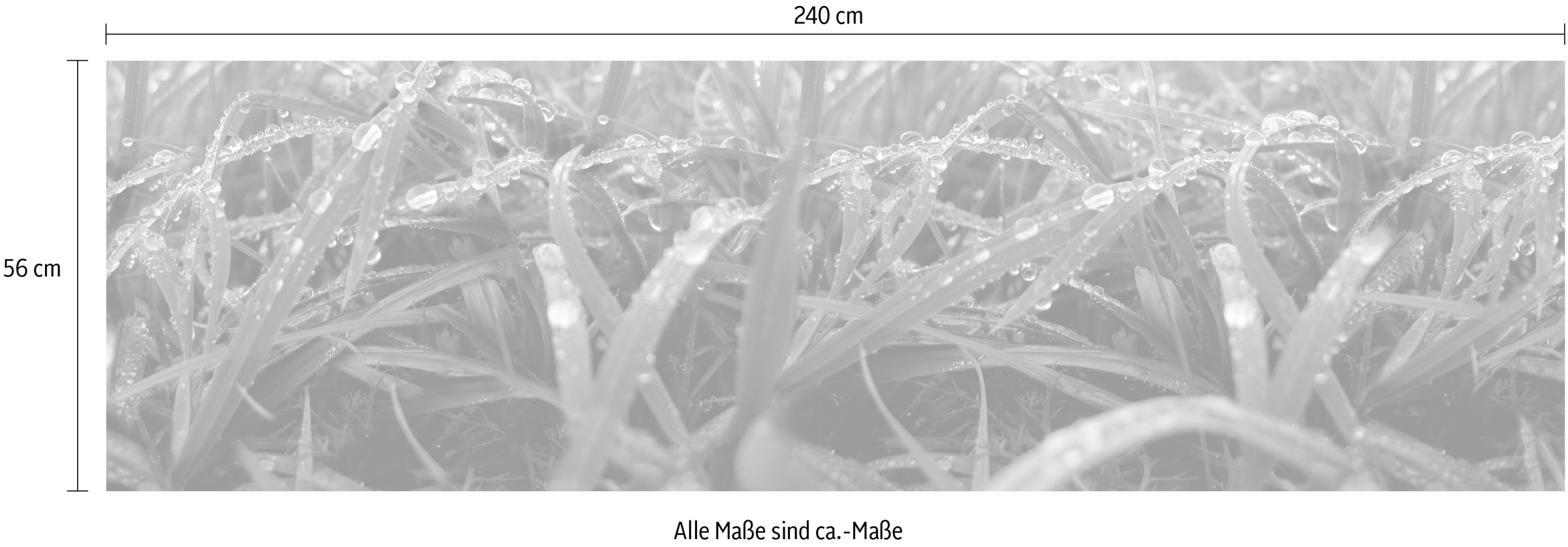 Express Küchen Küchenrückwand »"Weintrauben", als Spritzschutz geeignet, mit Schutzlack versehen,«, (1 tlg.), in verschiedenen Breiten