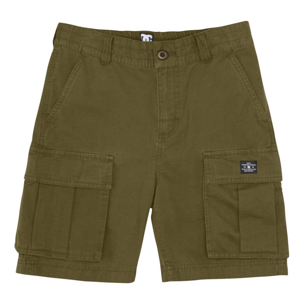 DC Shoes Cargoshorts »Tundra«