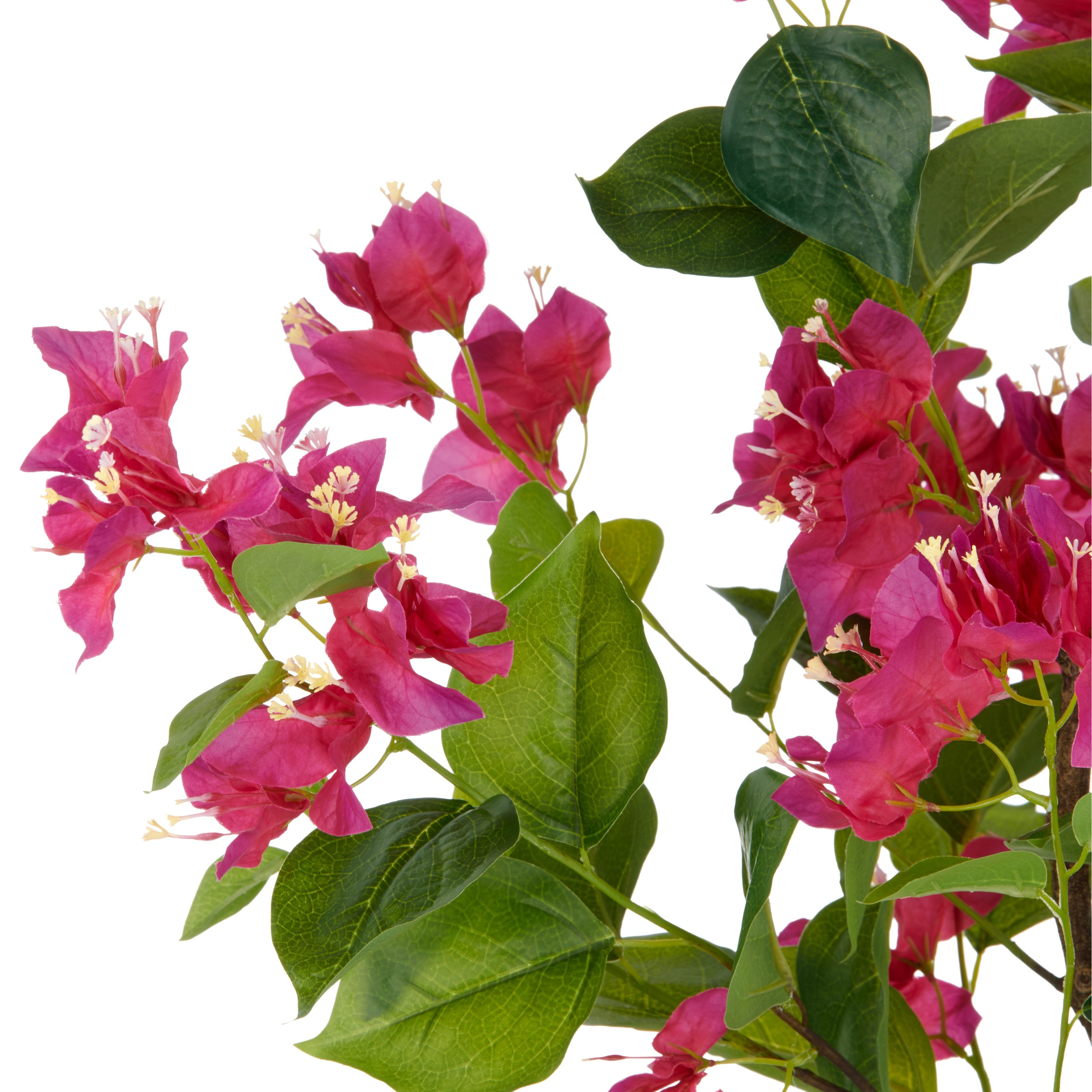 Creativ green Kunstpflanze "Bougainvillea", mit zahlreichen Blüten günstig online kaufen