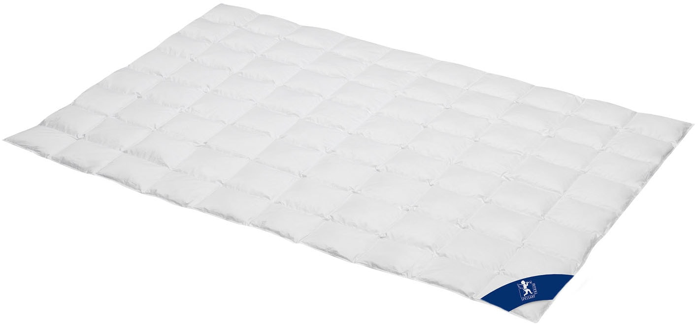 SPESSARTTRAUM Daunenbettdecke "Laax Bettdecke 135x200, 155x220 cm und viele günstig online kaufen