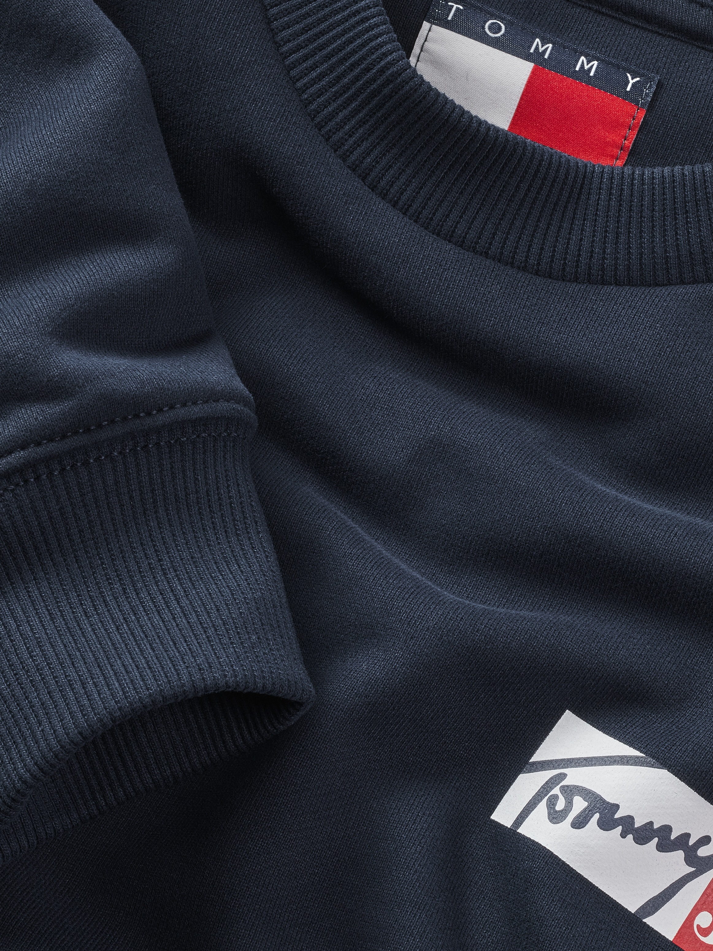 Tommy Jeans Plus Sweatshirt »TJM REG ENTRY GRAPHIC CREW EXT«, in Großen Größen, Logodruck