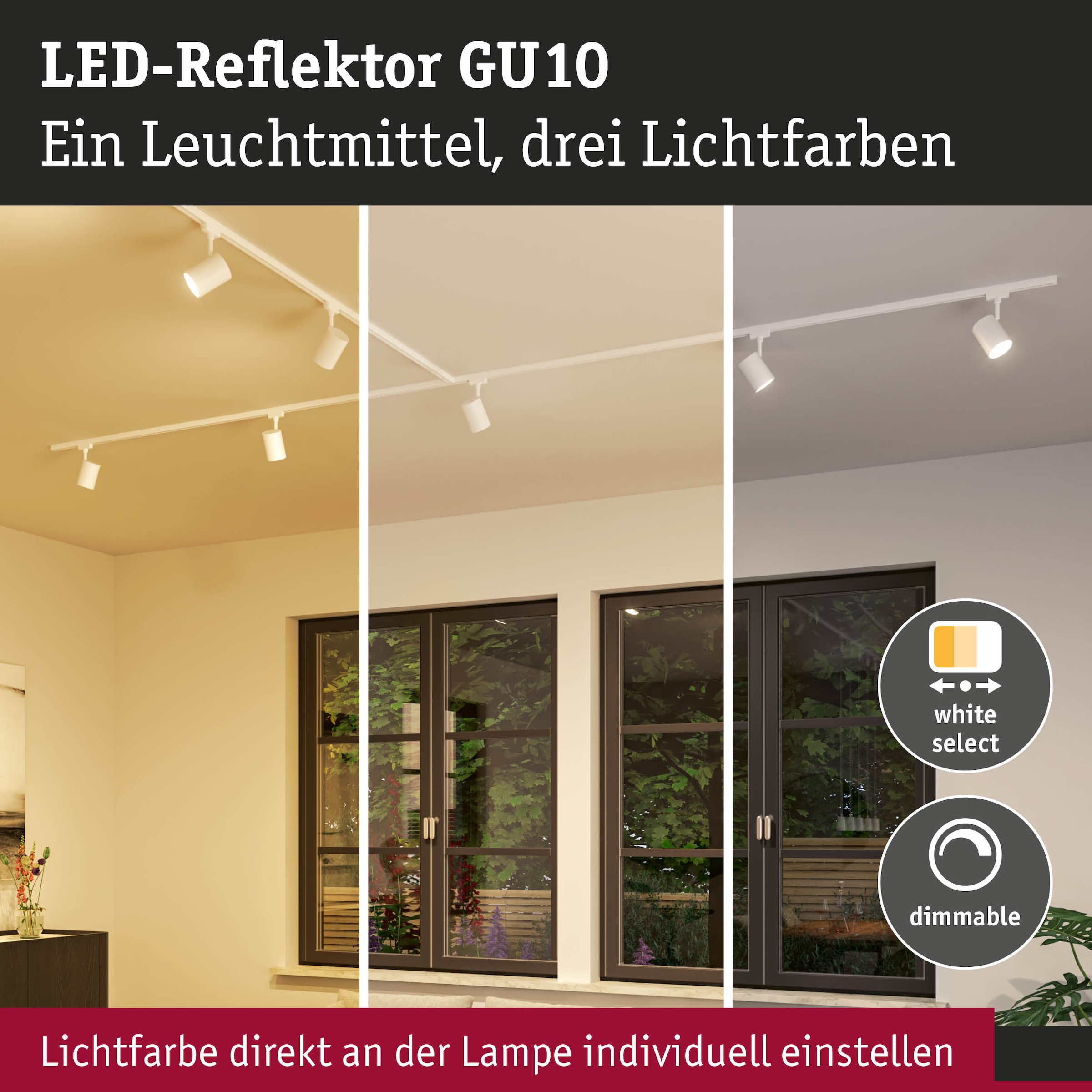 Paulmann LED-Leuchtmittel »650lm 3CCT DipSwitch 50° dim 6,9W 230V« GU10 1 Stk. Farbwechsler White Select