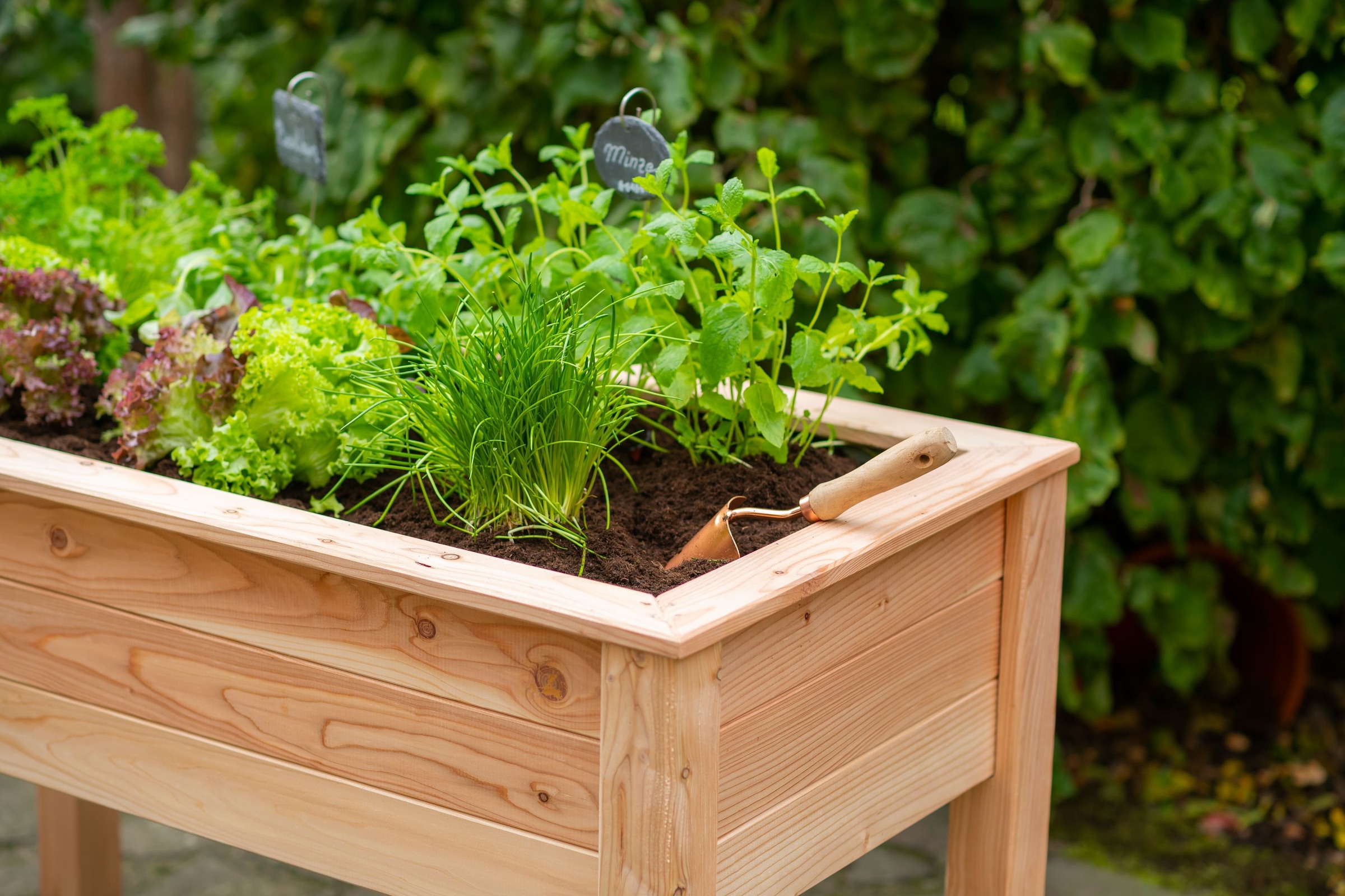 WESTMANN Hochbeet »Emily«, 100 % FSC®-zertifiziertes Lärchenholz