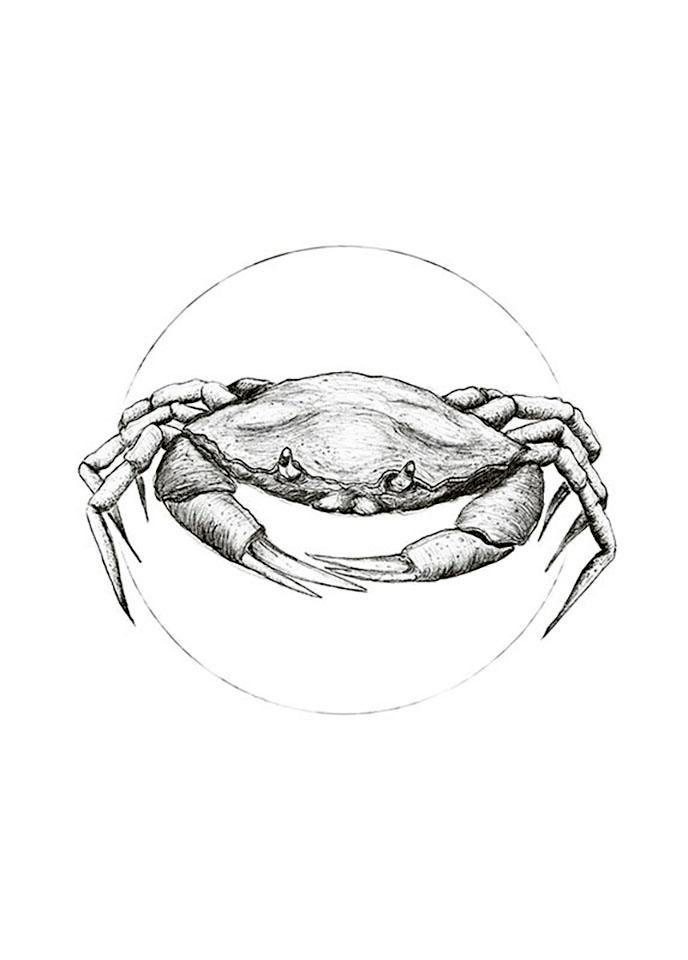 Komar Poster »Crab White«, Tiere, (1 St.), Kinderzimmer, Schlafzimmer, Wohnzimmer