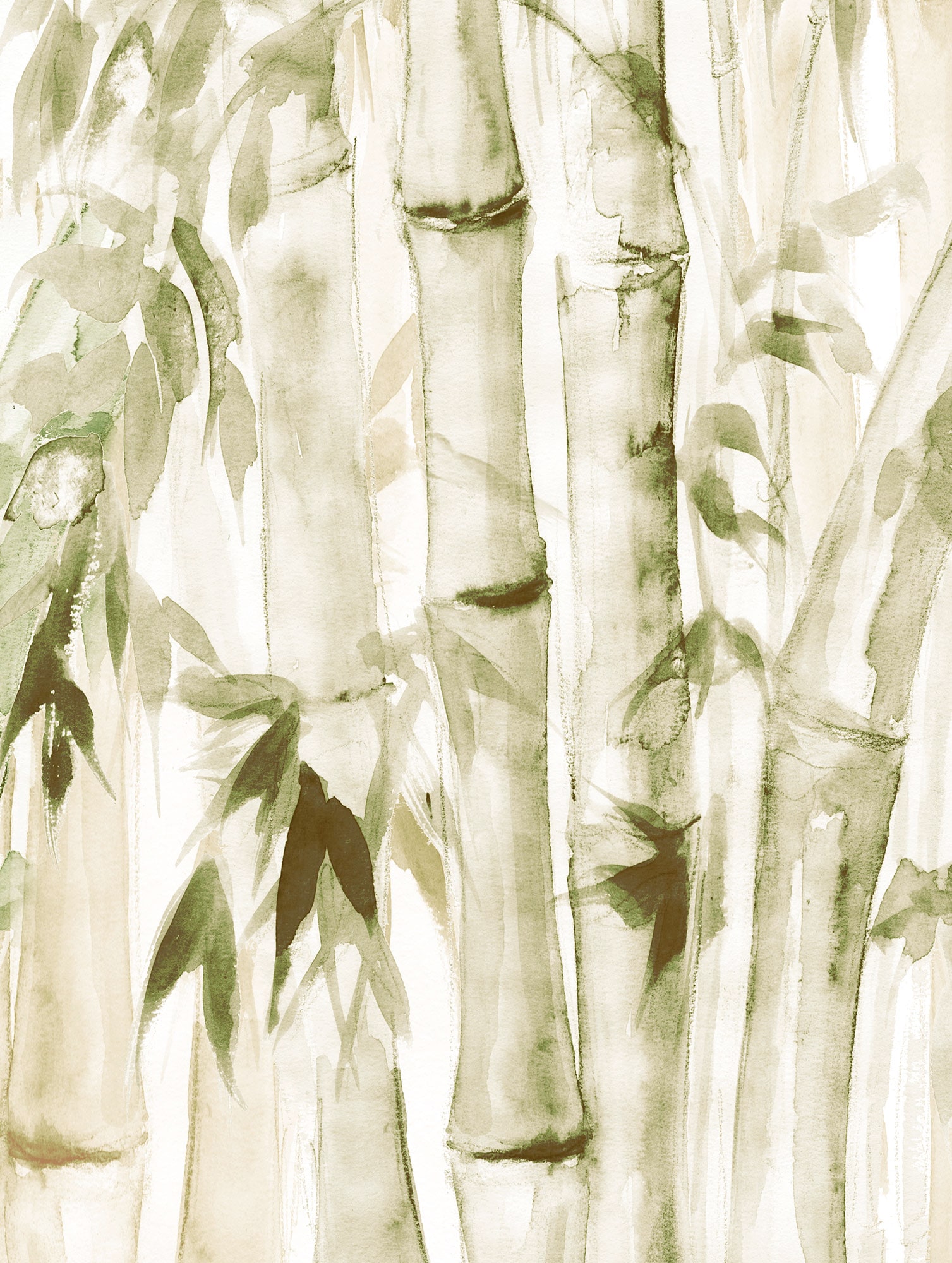 Komar Bild "Wild Bamboo", Natur, (1 St.), Wandbild zur Dekoration - ohne Ra günstig online kaufen