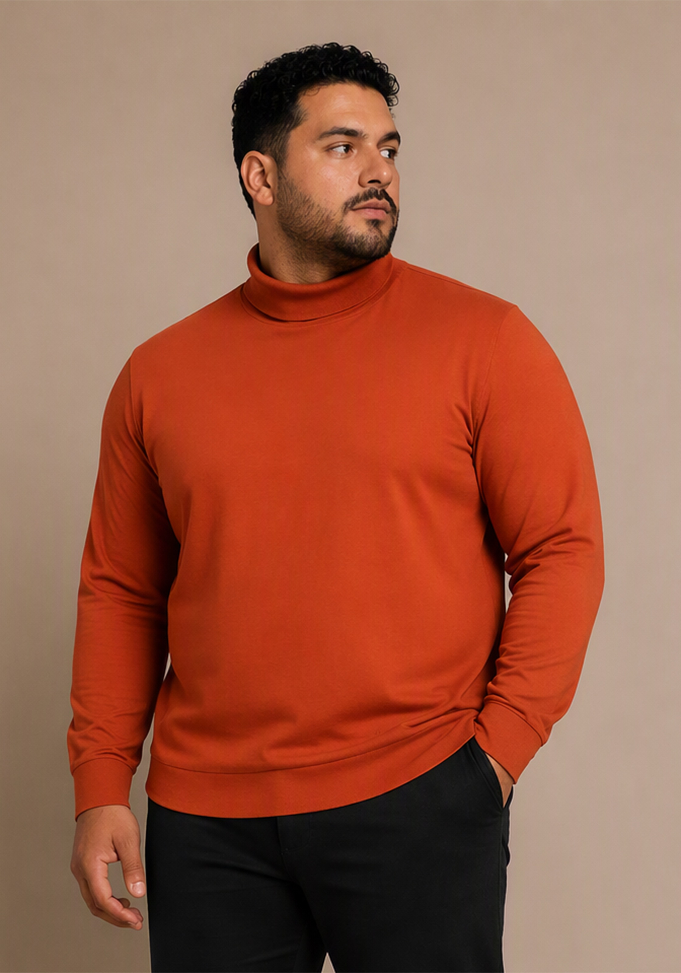 Mans World Plus Rollkragenshirt "auch in Grosse Größen bis Gr. 7XL Bauch-Fit" Regular Fit, Langarm, unifarbenes Basic-Stil
