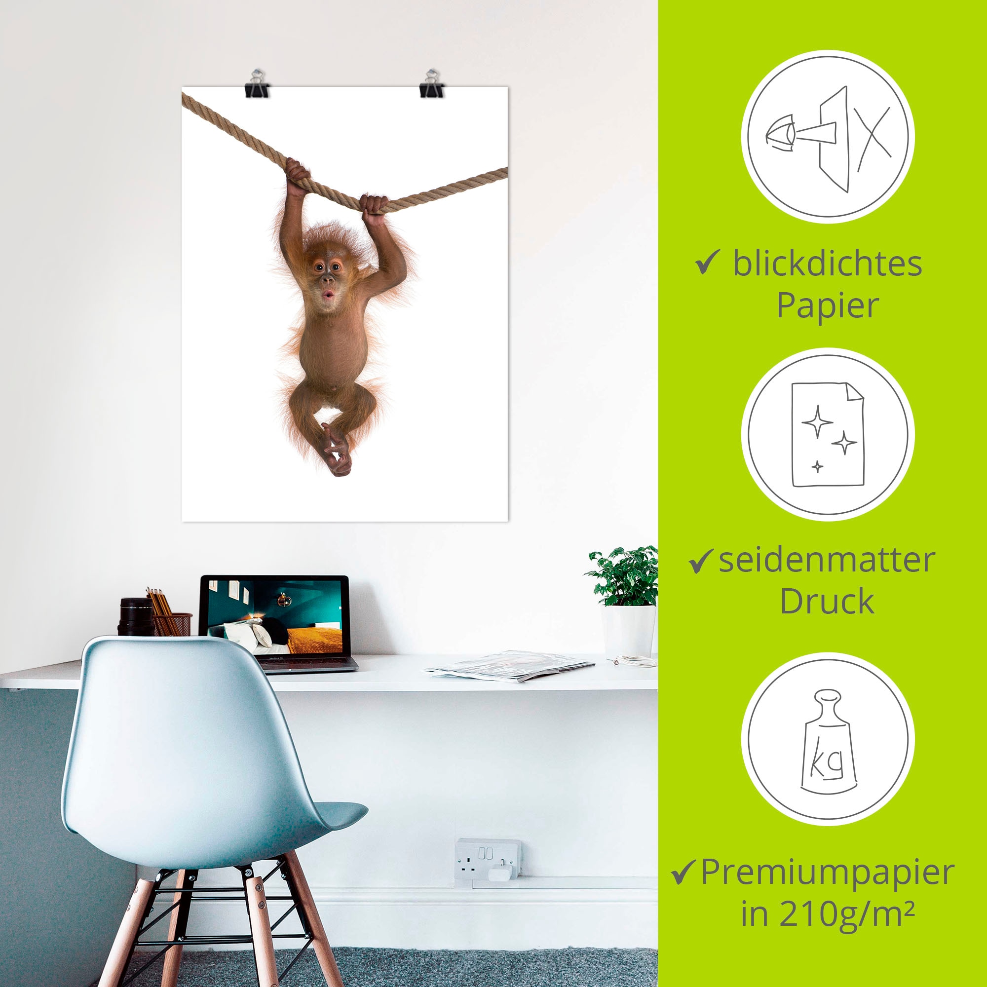 Artland Wandbild »Baby Orang Utan hängt an Seil II«, Wildtiere, (1 St.), als Alubild, Outdoorbild, Leinwandbild, Poster, Wandaufkleber