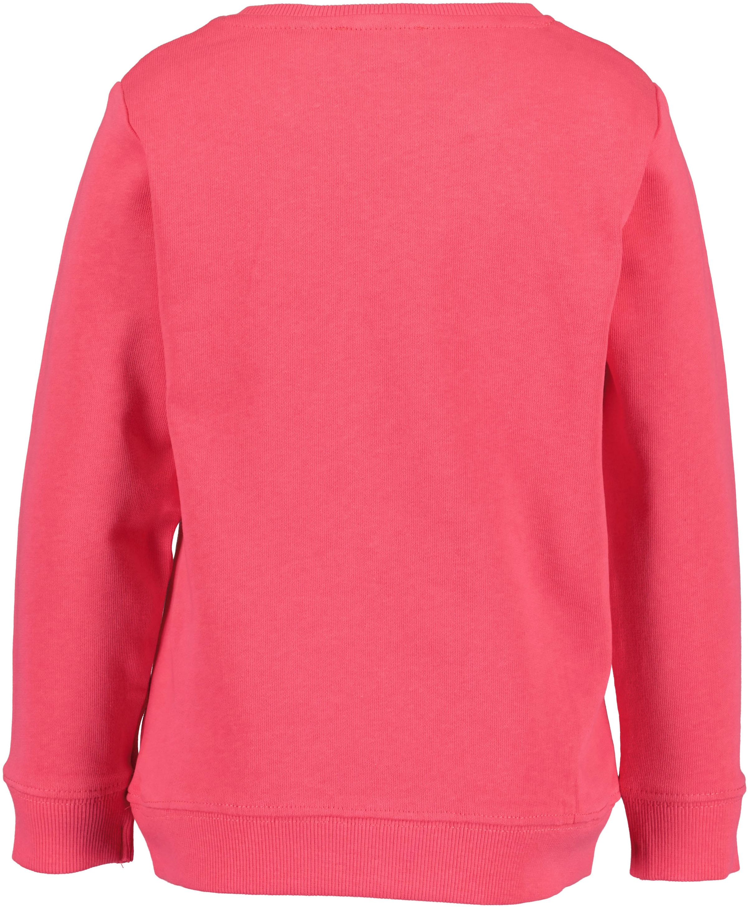 Blue Seven Sweatshirt
