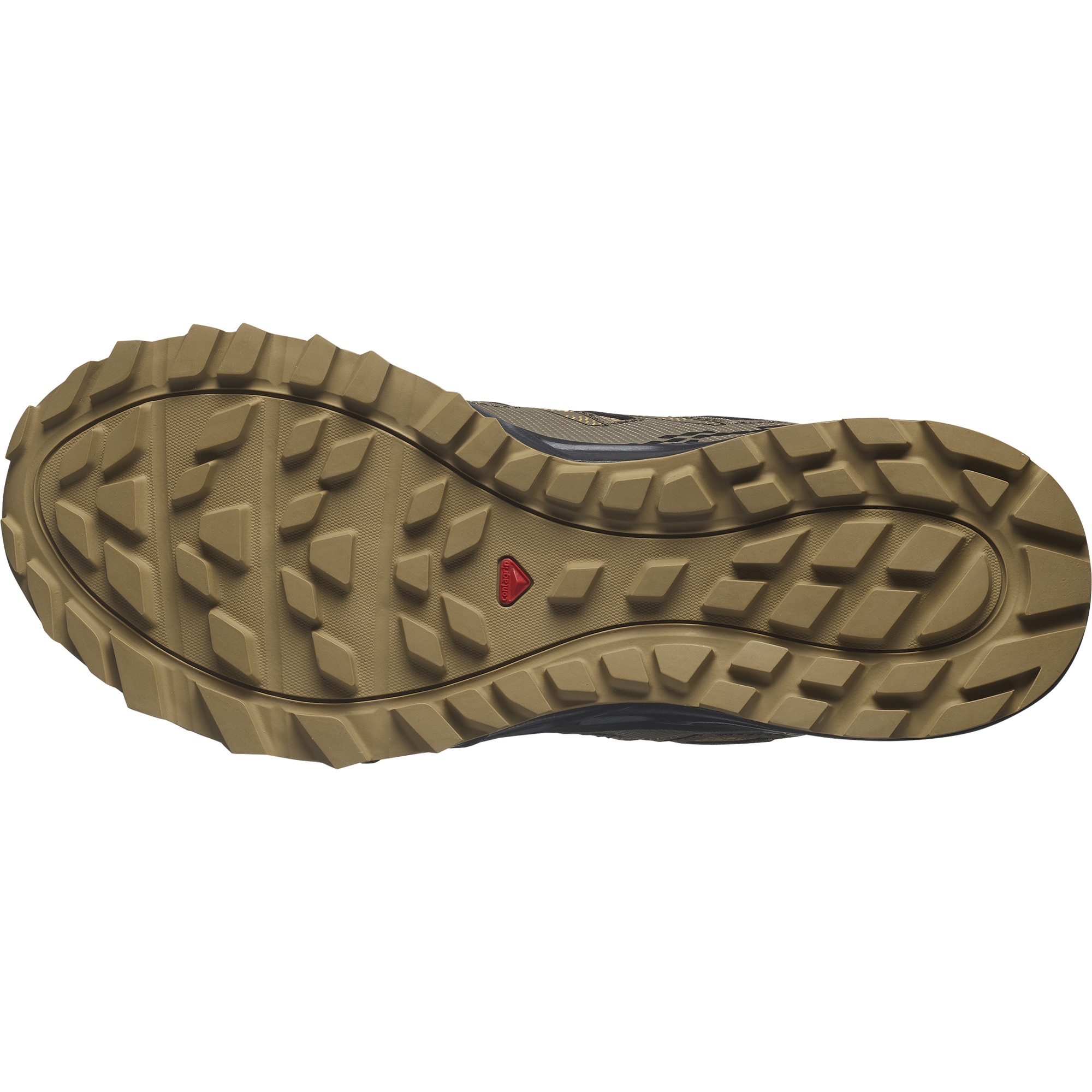 Salomon Trailrunningschuh »WANDER GORE-TEX®«, wasserdicht