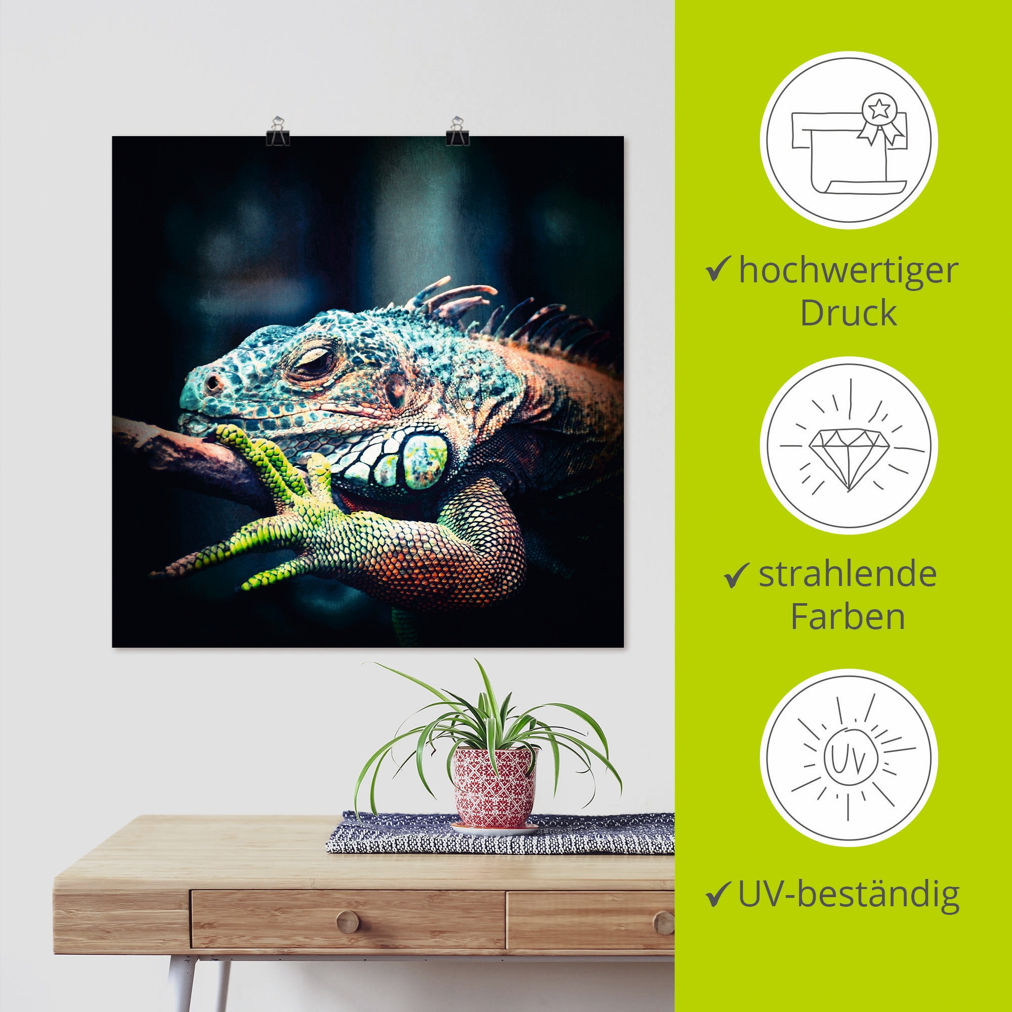 Artland Wandbild »Leguan«, Reptilien, (1 St.), als Leinwandbild, Poster in verschied. Größen