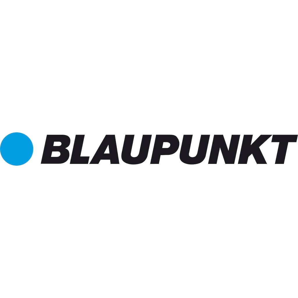 Blaupunkt E-Bike Akku »Blaupunkt Gepäckträger Akku 36 Volt«, 36 V