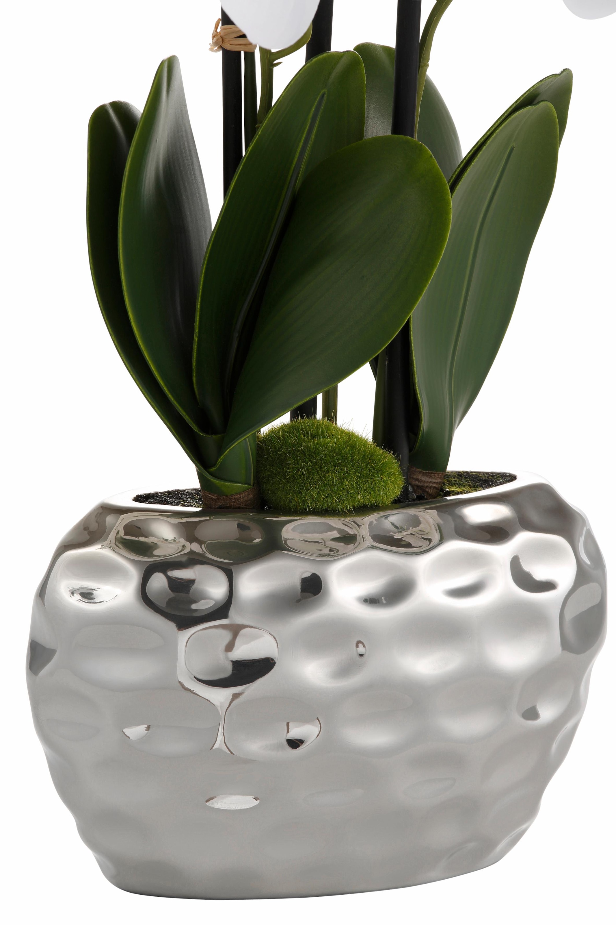 kaufen BAUR »Orchidee« Creativ Kunstpflanze green |