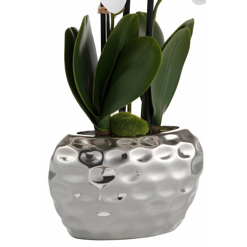 Creativ green Kunstpflanze »Orchidee«