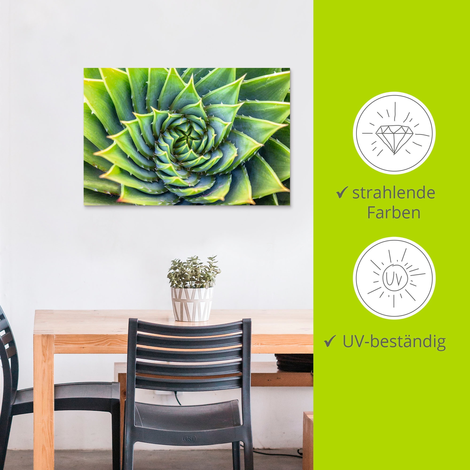 Artland Alu-Dibond-Druck »Grüne Spirale« Pflanzenbilder 1 Stk. tlg. für Innen- und Außenbereich geeignet, Outdoorbild