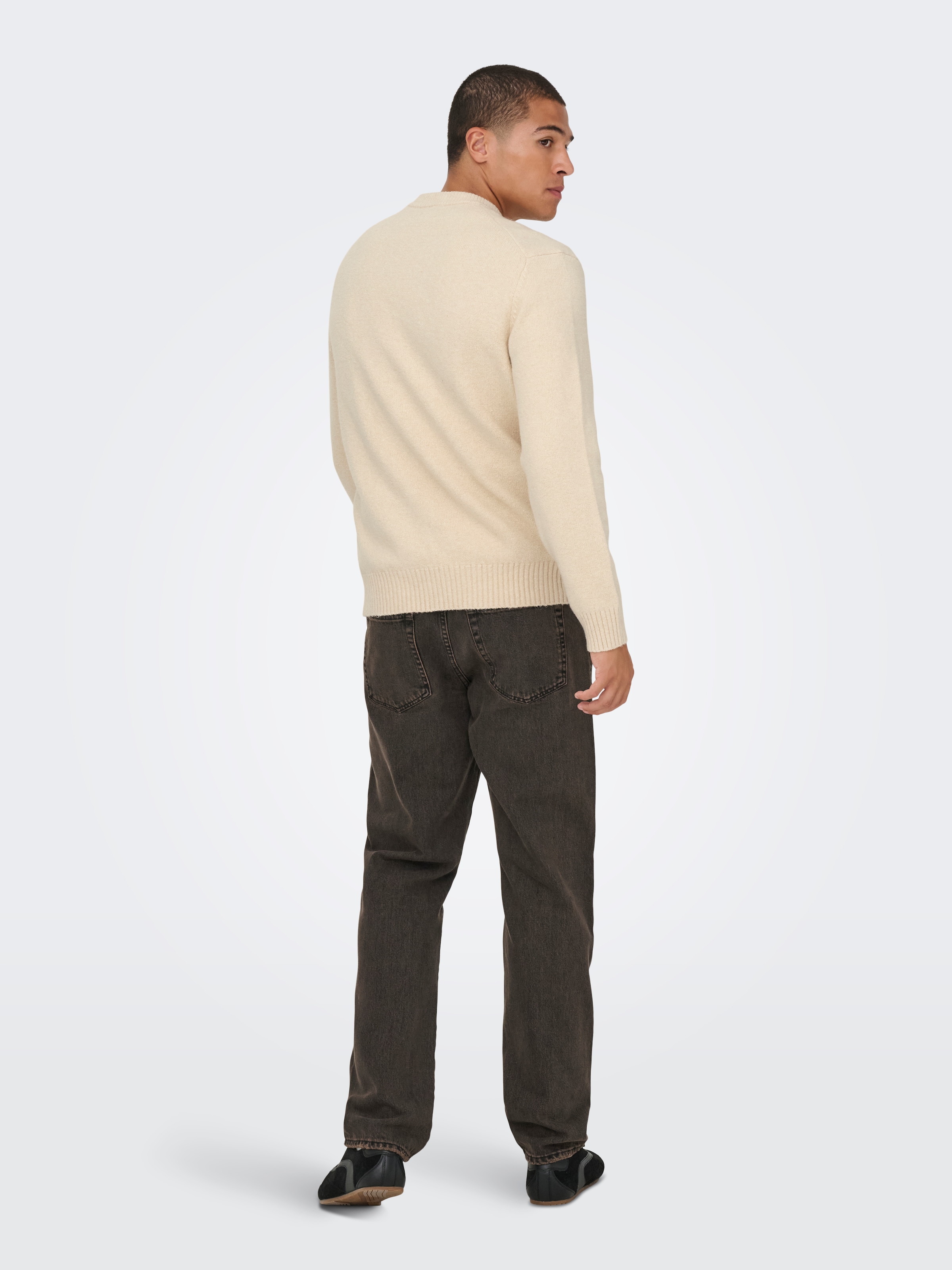 ONLY & SONS Strickpullover »ONSJAMES RLX CREW KNIT«