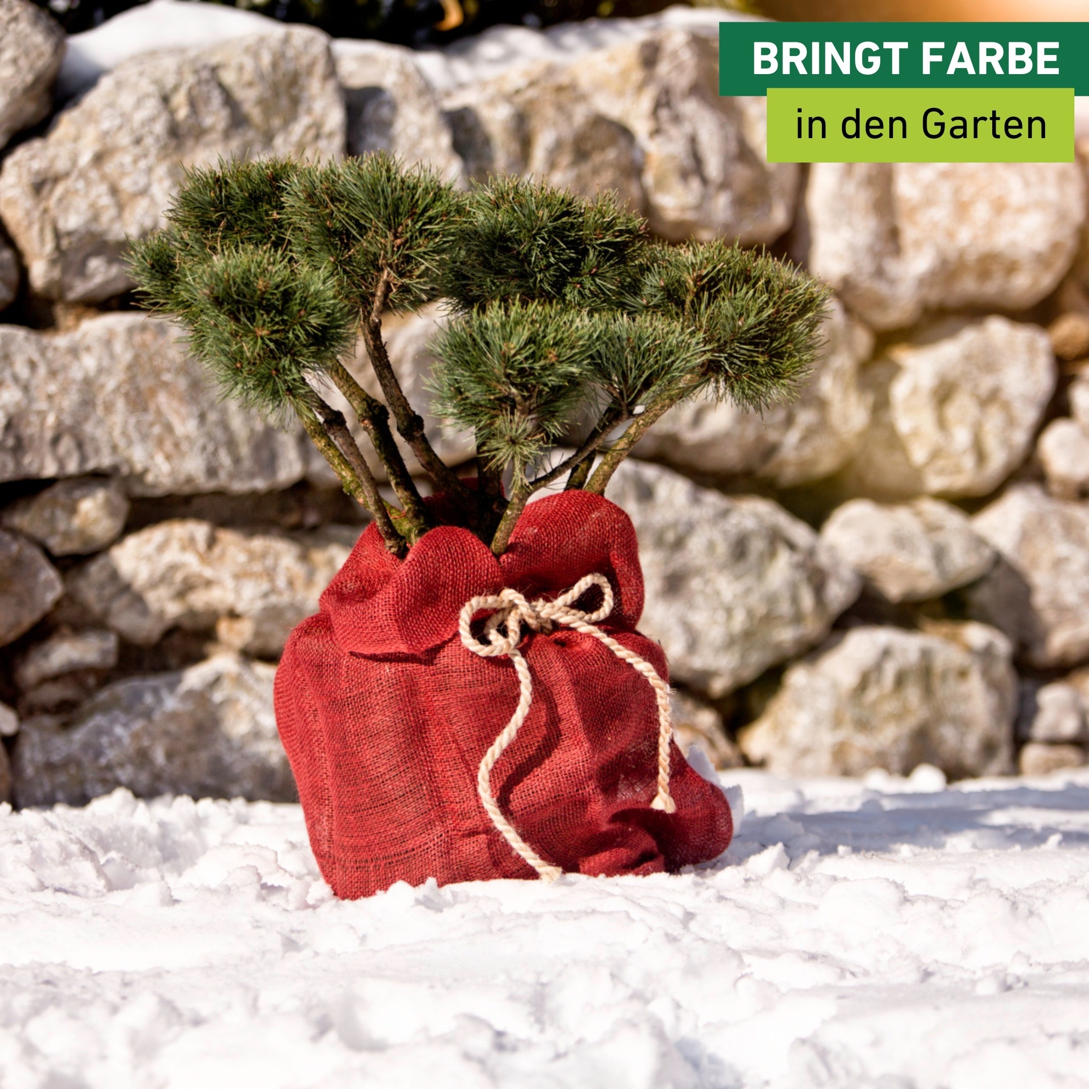 Windhager Winterschutzvlies »Jute-Sack, Gartensack aus robustem Vlies« Befestigungsband inklusive, 70x100 cm, erhältlich in grün oder rot
