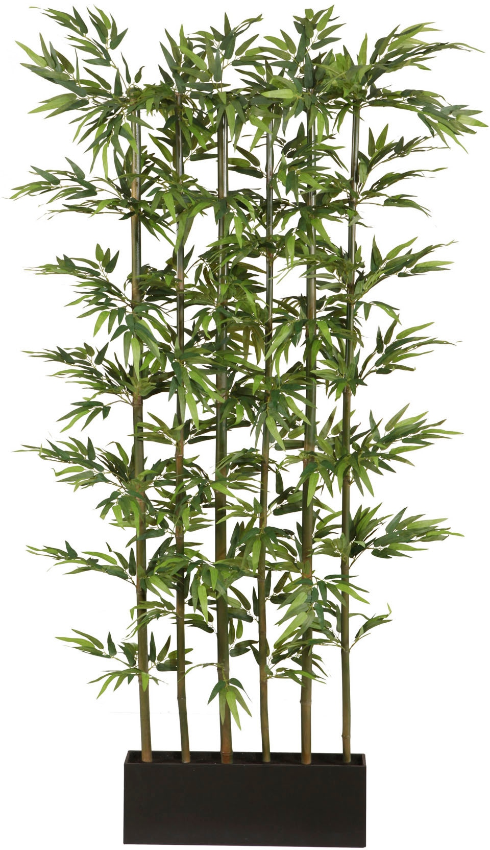 Creativ green »Bambus« kaufen BAUR | Kunstpflanze