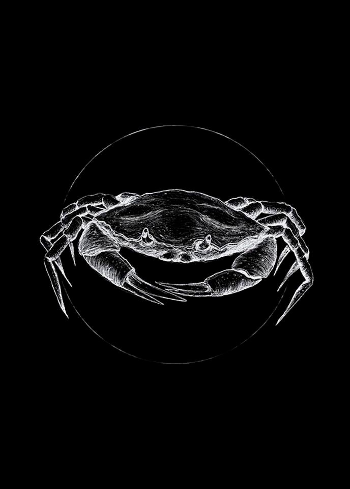 Komar Bild »Crab Black«, Tiere, (1 St.), Wandbild zur Dekoration - ohne Rahmen