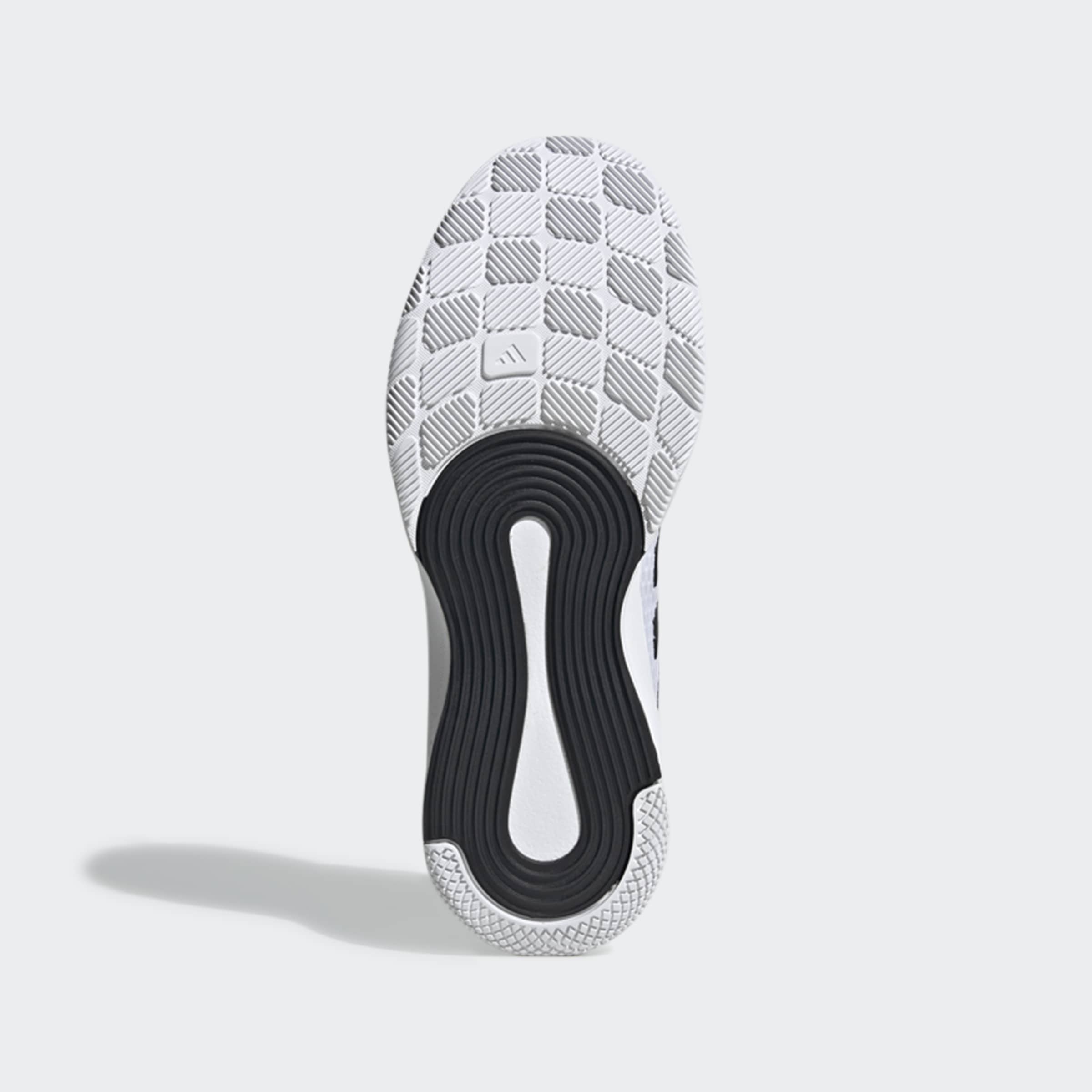 adidas Performance Hallenschuh »NOVAFLIGHT 2 INDOOR«