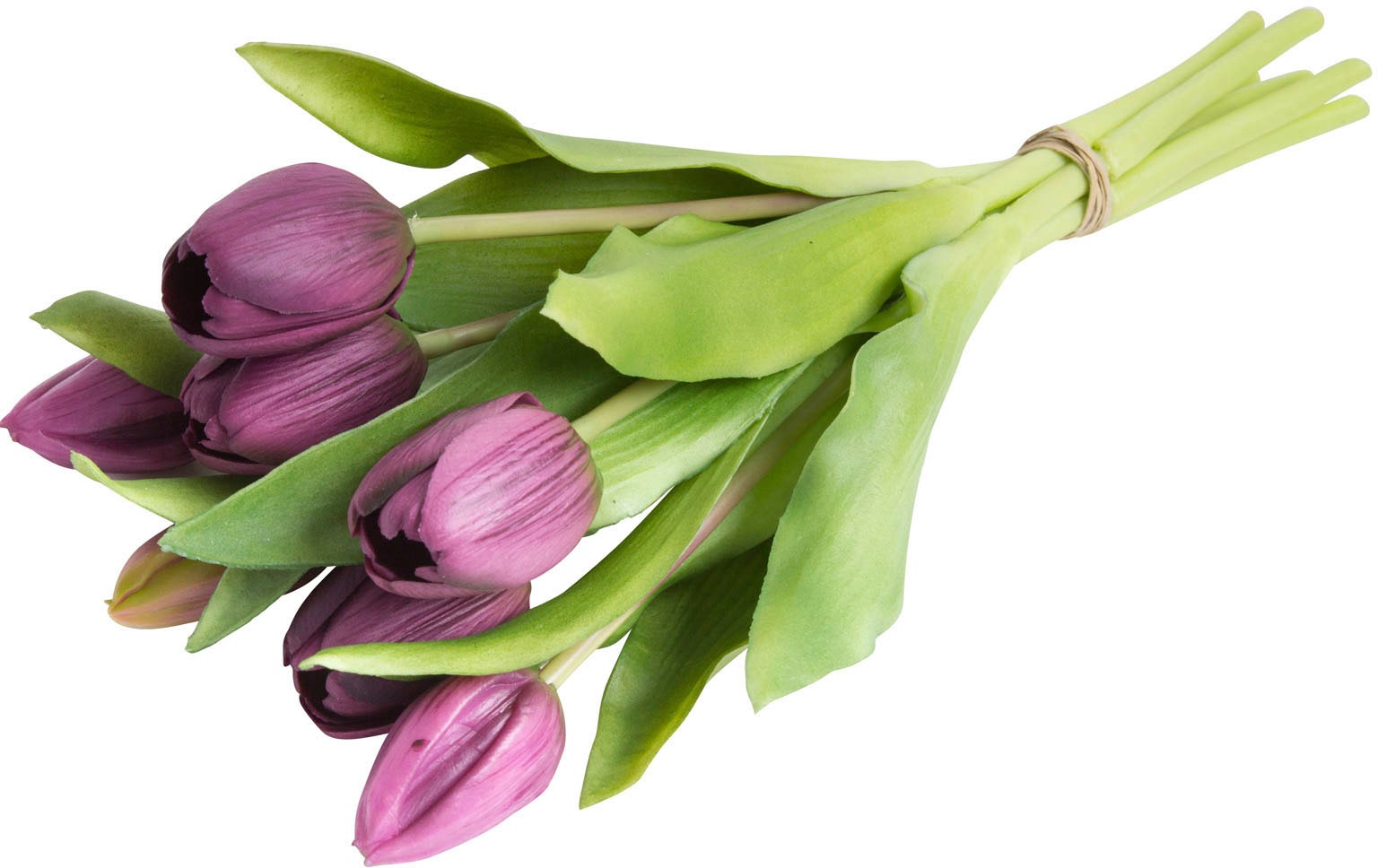 Botanic-Haus Kunstblume "Willa" Tulpenbündel im 7er-Set günstig online kaufen