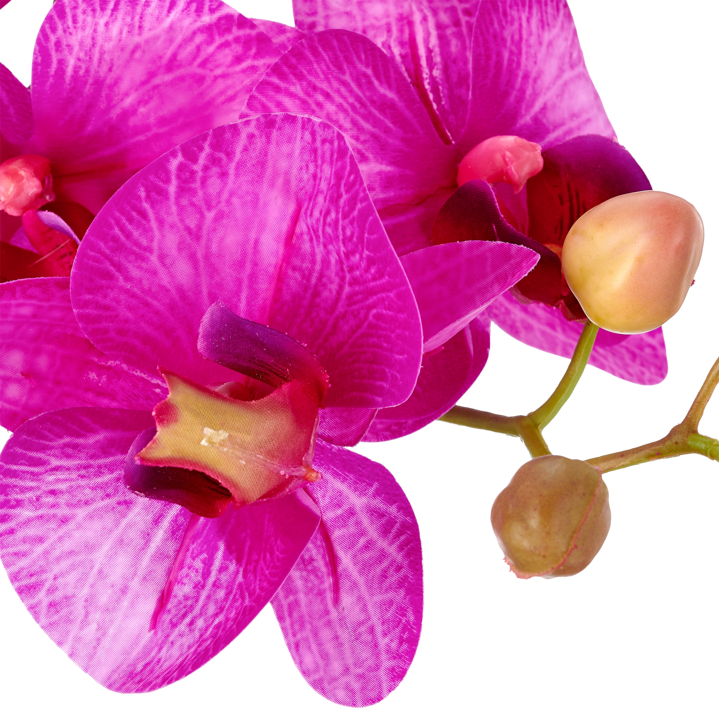 Creativ green Kunstorchidee »Phalaenopsis« mit Real-Touch-Blüten