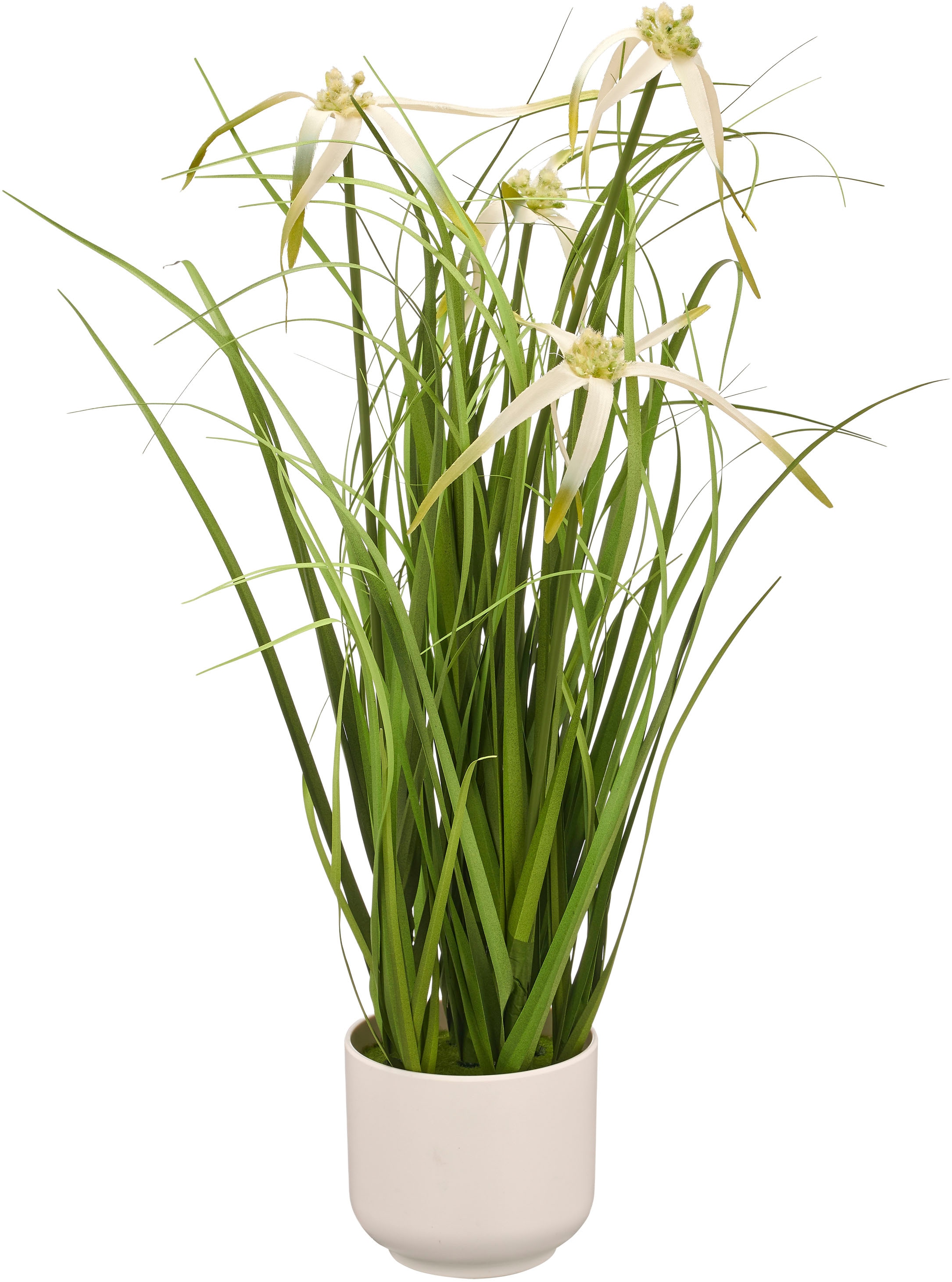 Creativ green Kunstgras "Grasbusch Sternsegge", mit Blüten günstig online kaufen