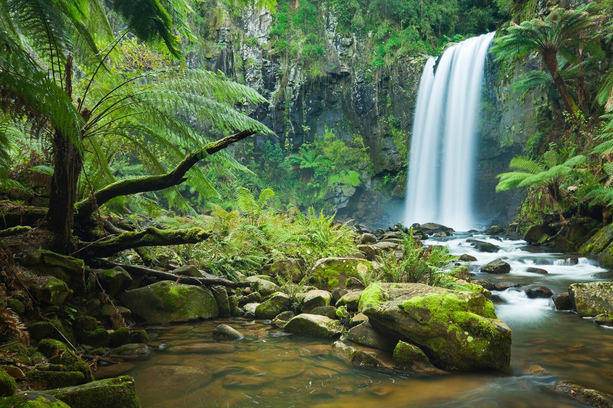 Papermoon Fototapete »Wasserfall im Wald«