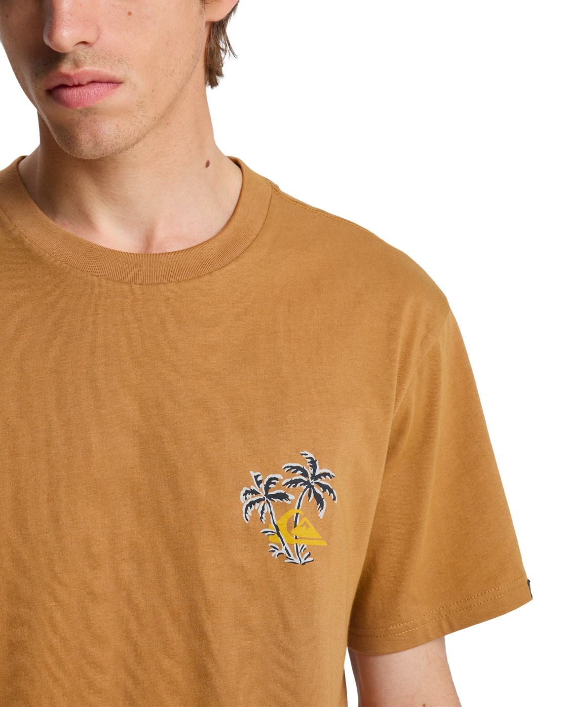 Quiksilver T-Shirt »Evo Learning From Nature«