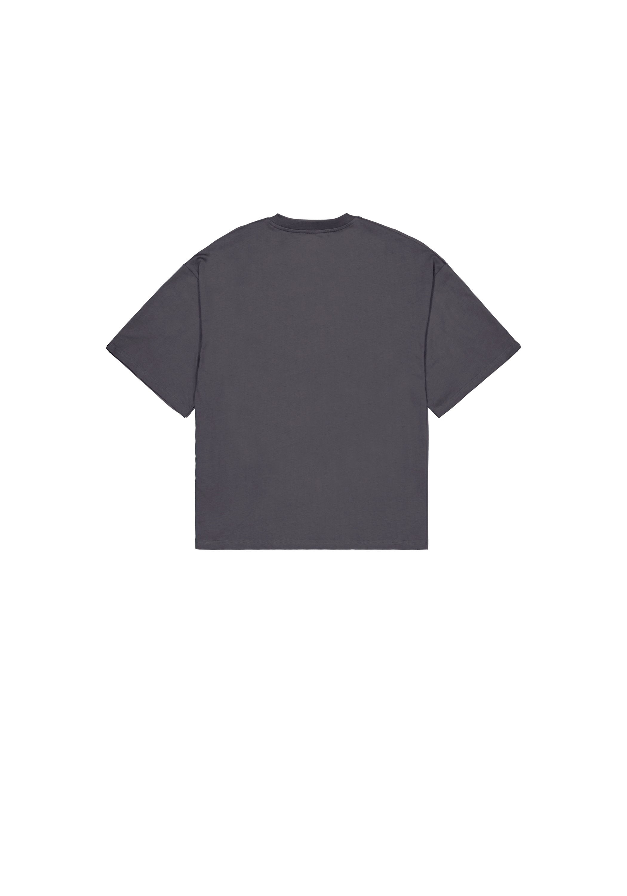 Alpha Industries T-Shirt "Flock Logo T-Shirt" günstig online kaufen