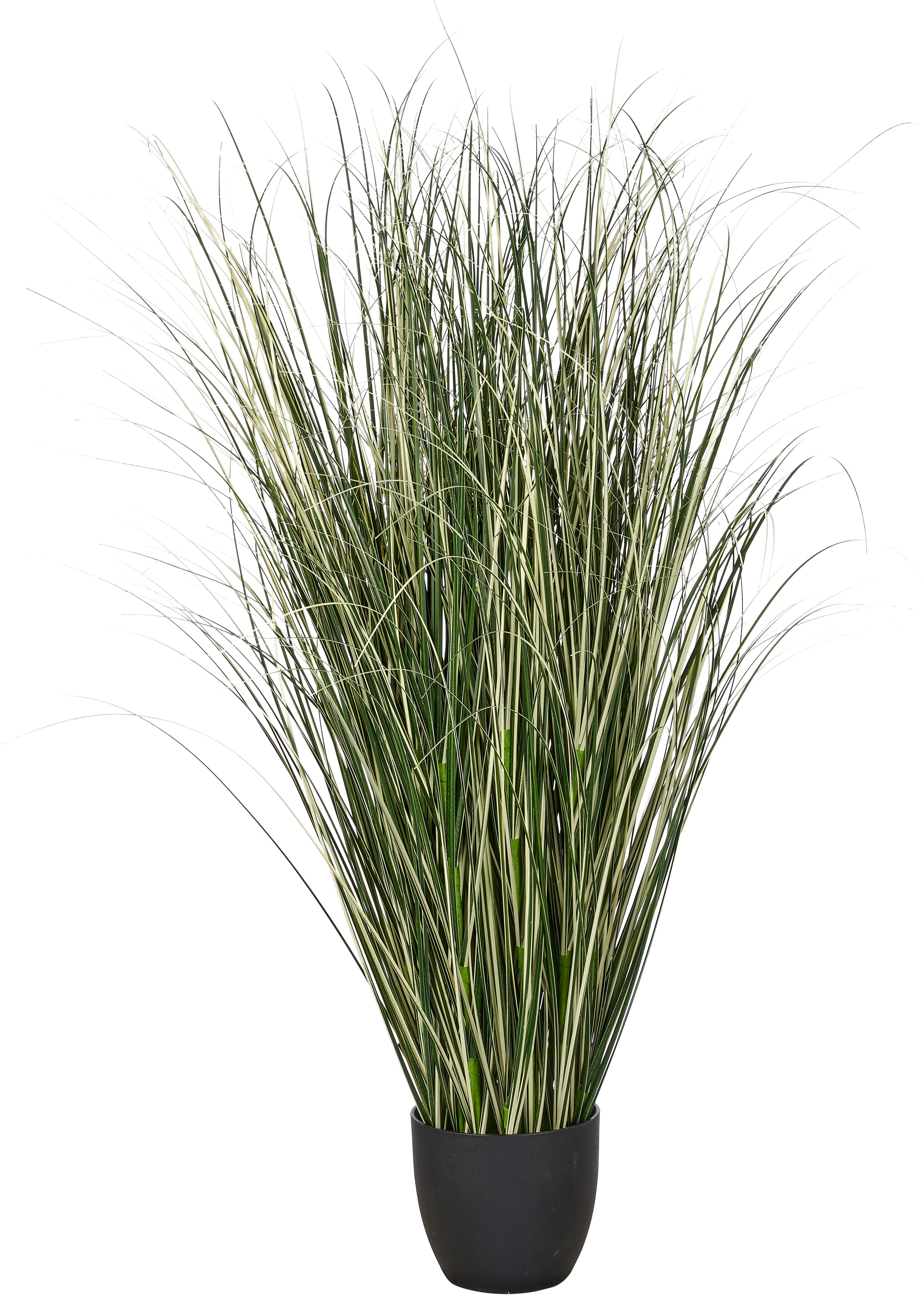 Creativ green Kunstgras "Grasbusch Miscanthus variegatus" mit filigranen Grashalmen