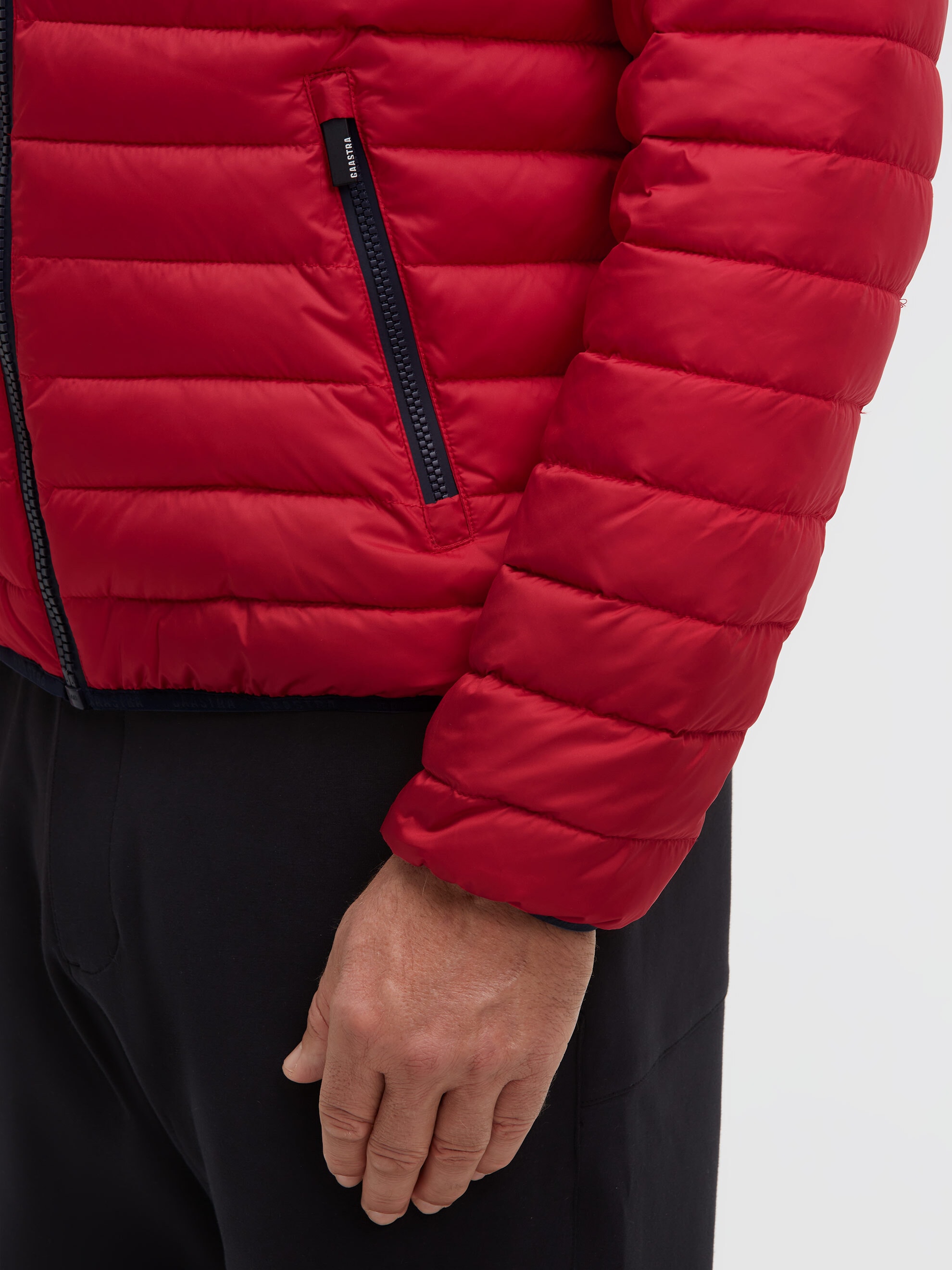 Gaastra Steppjacke ohne Kapuze mit elastischem Saumabschluss