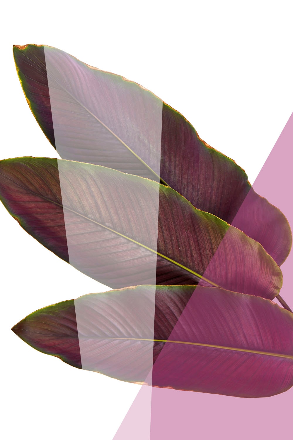 queence Acrylglasbild "Blätter" Blätter  Blätterbilder  Kunst  Pflanzen  Pf günstig online kaufen