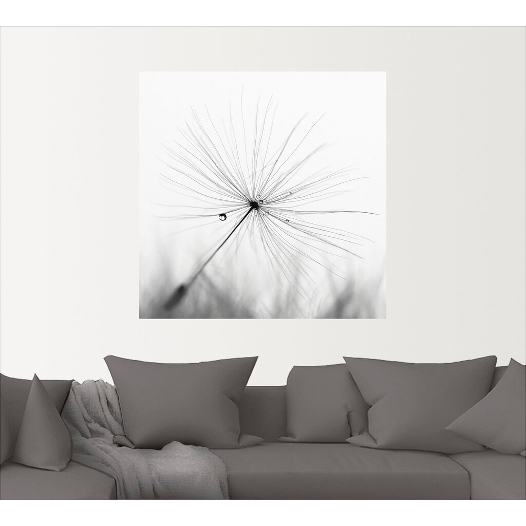 Artland Wandbild »Pusteblume Schirmchen«, Blumen, (1 St.)