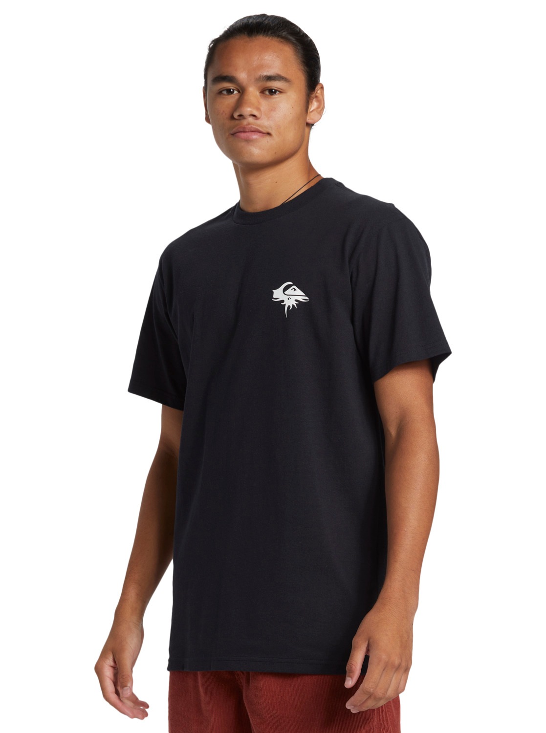 Quiksilver T-Shirt »QS Thorn Logo DNA«