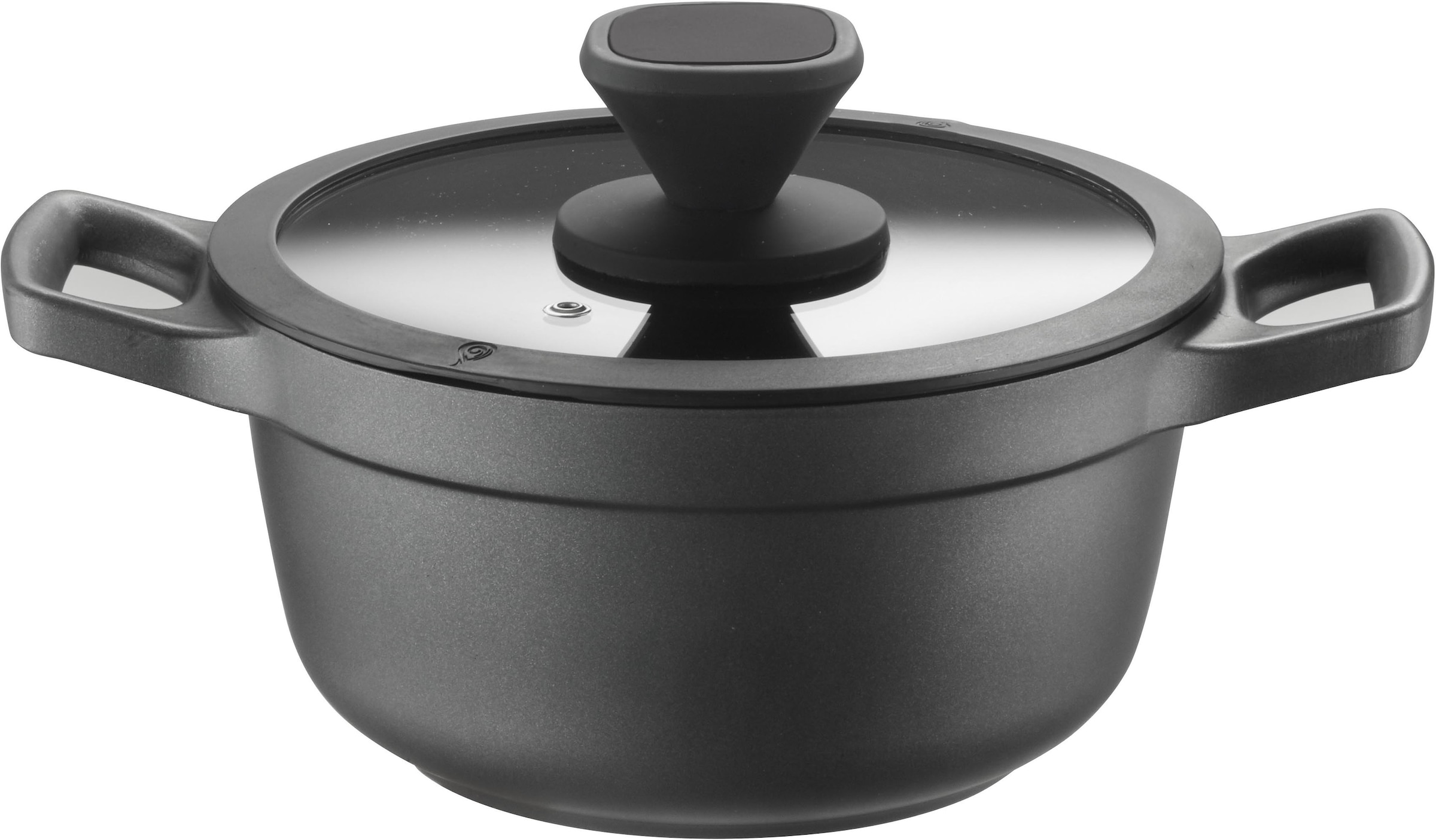 PINTINOX 1100000002199 "Pinti Pro" Aluminium Edelstahl Kunststoff