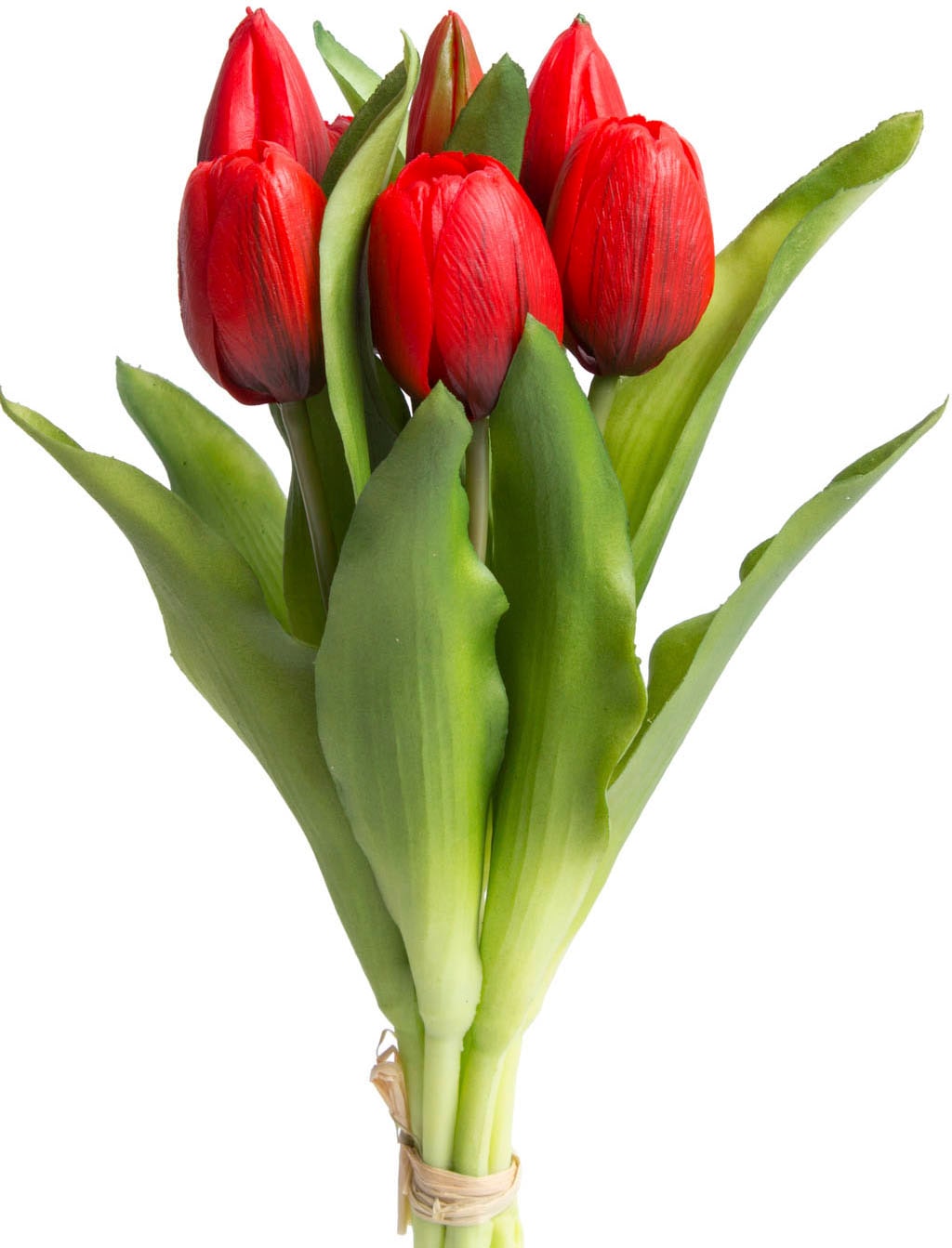 »Willa«, Kunstblume | 7er-Set Tulpenbündel im Botanic-Haus BAUR