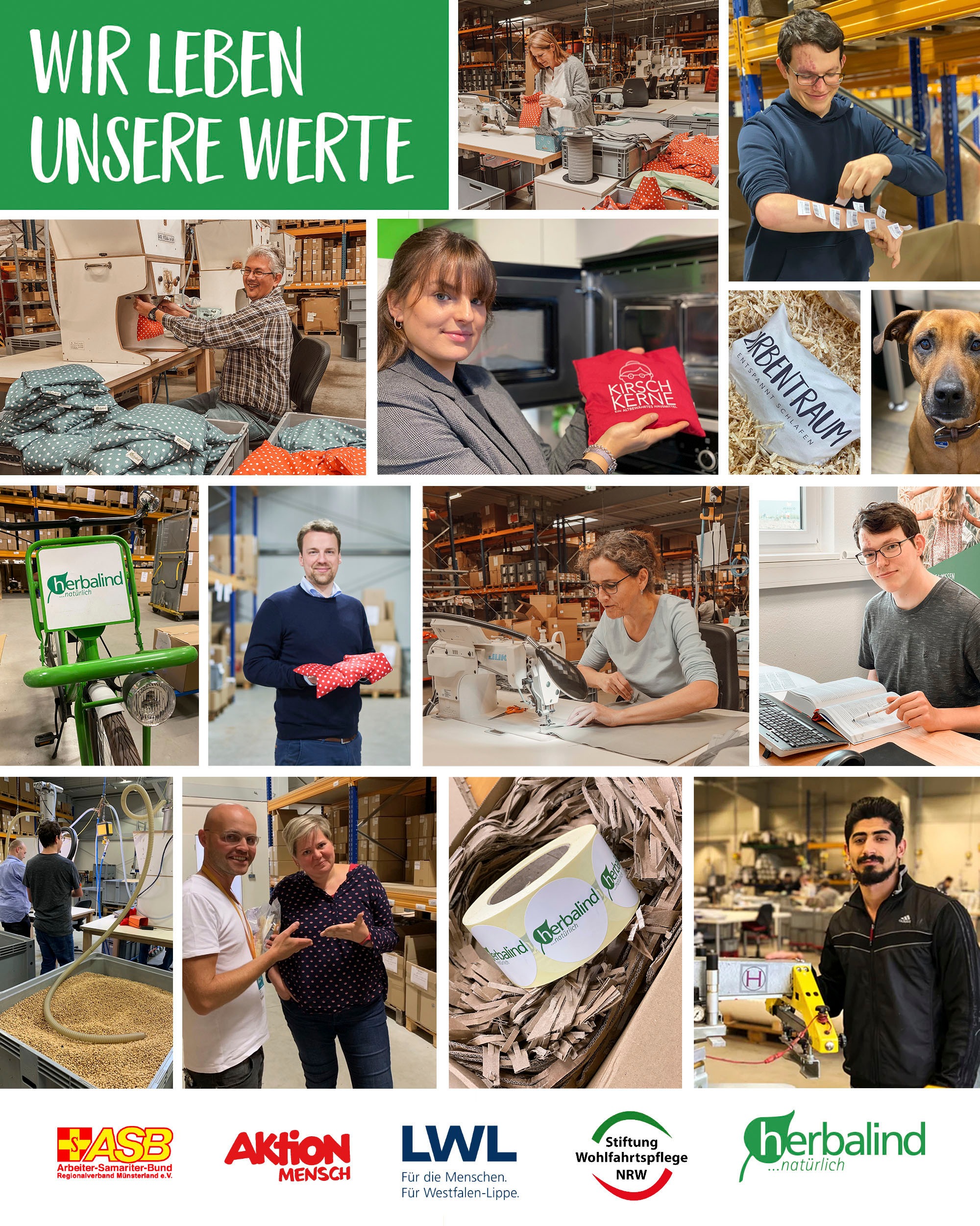 herbalind Kirschkernkissen "3-Kammer-Kirschkernkissen 2093 Natur mit Stempe günstig online kaufen